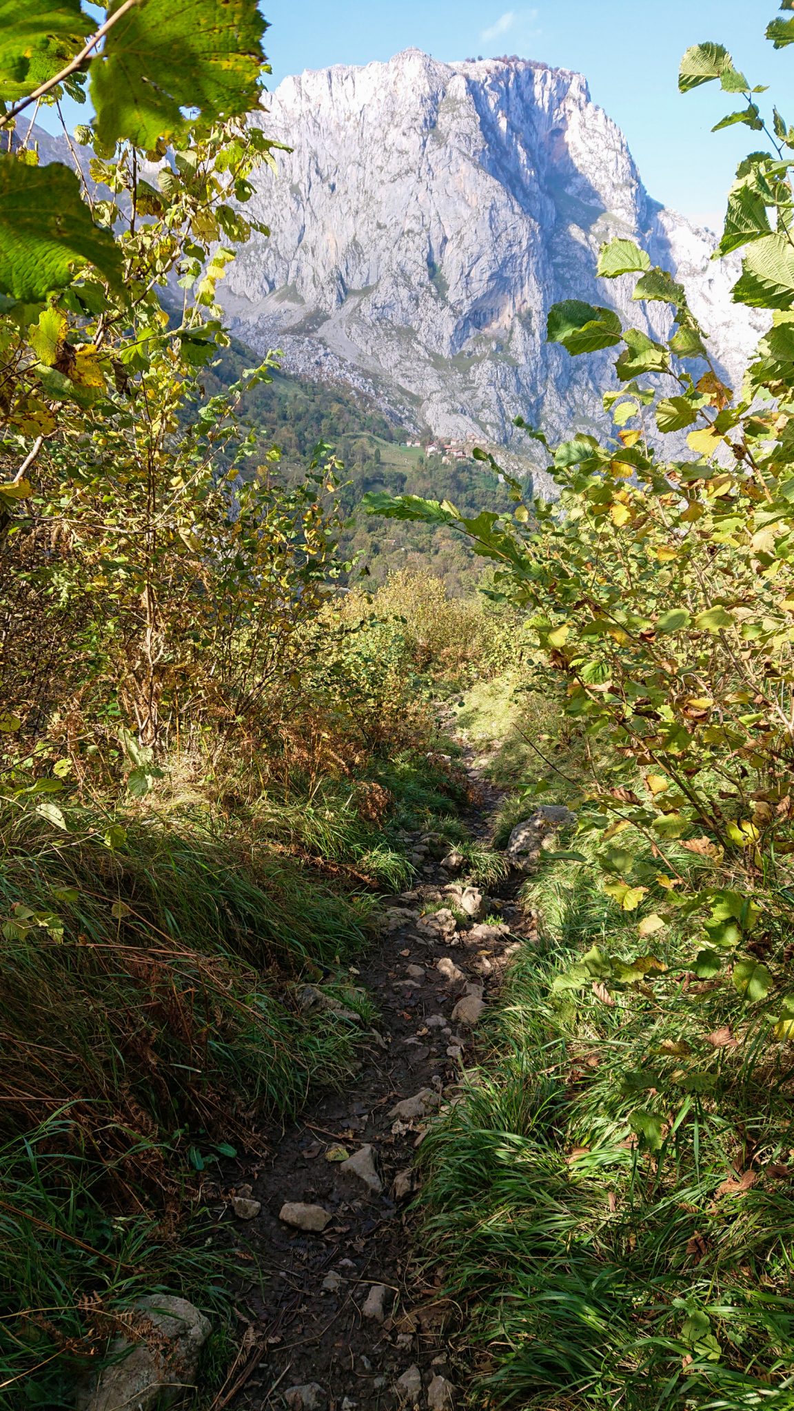 Wanderung Poncebos nach Bulnes in den Picos de Europa, schmaler Wanderpfad zwischen hohen Felswänden, saftig grüne Wiese, Steine und Geröll, tolles Wanderwetter
