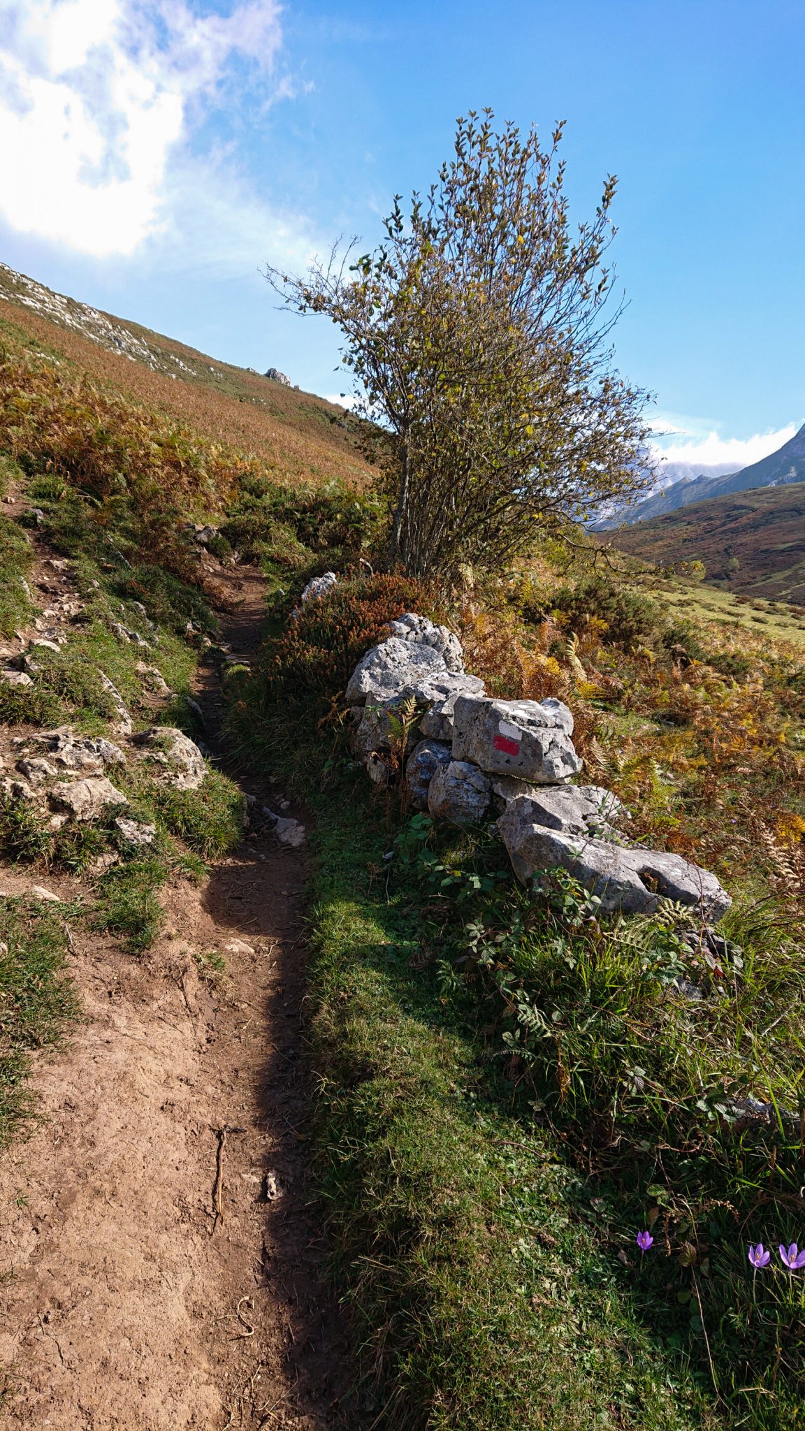 Wanderung Poncebos nach Bulnes in den Picos de Europa, schmaler Wanderpfad, saftig grüne Wiese, Steine und Geröll, tolles Wanderwetter, Wegmarkierung rot weiß Streifen, Weg zur Ebene Collado de Pandebano