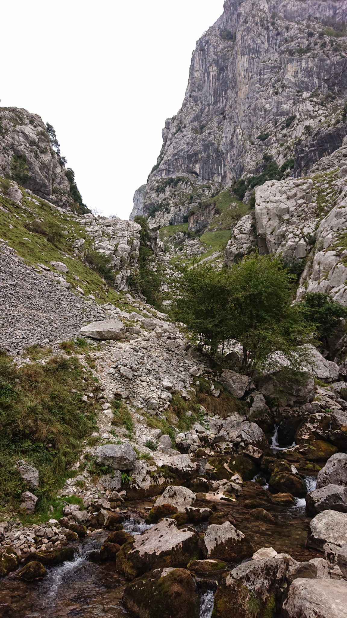 Wanderung Poncebos nach Bulnes in den Picos de Europa, Überquerung des Flusses Cares, kristallklares Wasser, Felswand