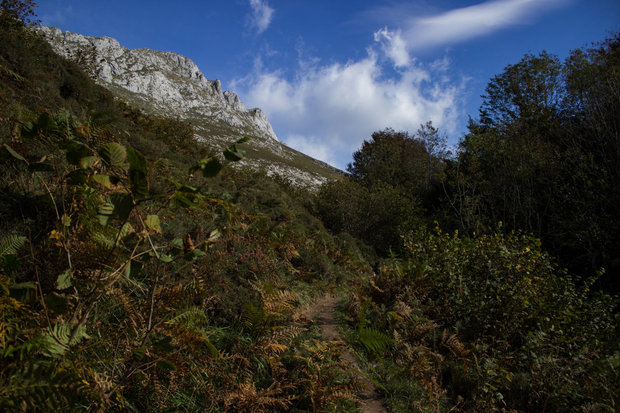 Wanderung Poncebos nach Bulnes in den Picos de Europa, schmaler Wanderpfad, saftig grüne Wiese, Steine und Geröll, tolles Wanderwetter