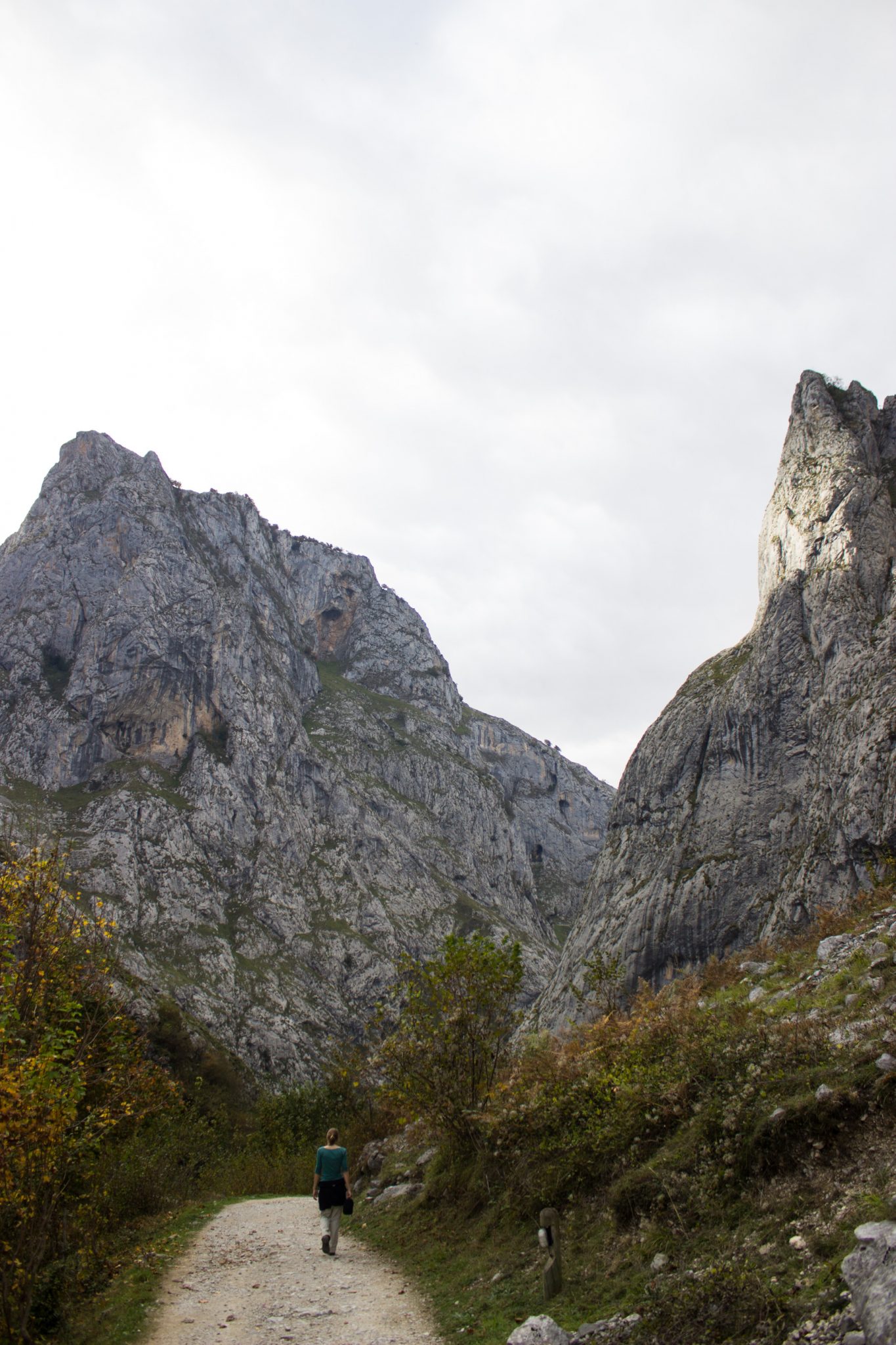 Wanderung Poncebos nach Bulnes in den Picos de Europa, Wanderpfad zwischen hohen Felswänden, saftig grüne Wiese, Steine und Geröll, tolles Wanderwetter