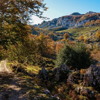 Wanderung Mirador de Ordiales Picos de Europa Spanien,  Herbst, Herbststimmung, Wanderweg, Bäume, Berge