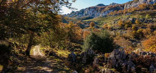 Wanderung Mirador de Ordiales Picos de Europa Spanien,  Herbst, Herbststimmung, Wanderweg, Bäume, Berge