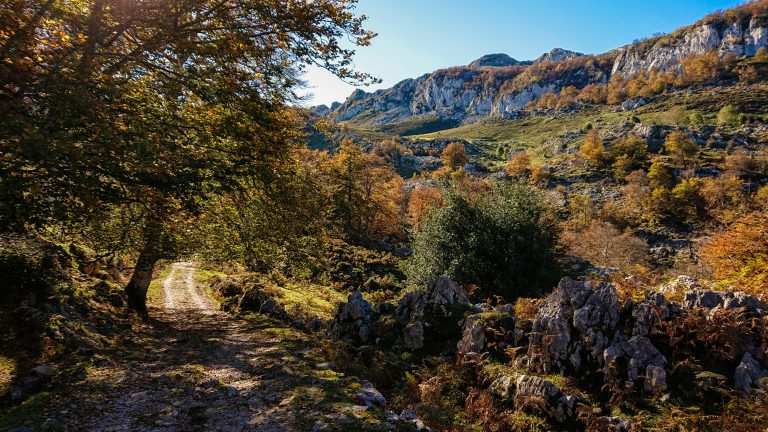 Wanderung Mirador de Ordiales Picos de Europa Spanien,  Herbst, Herbststimmung, Wanderweg, Bäume, Berge