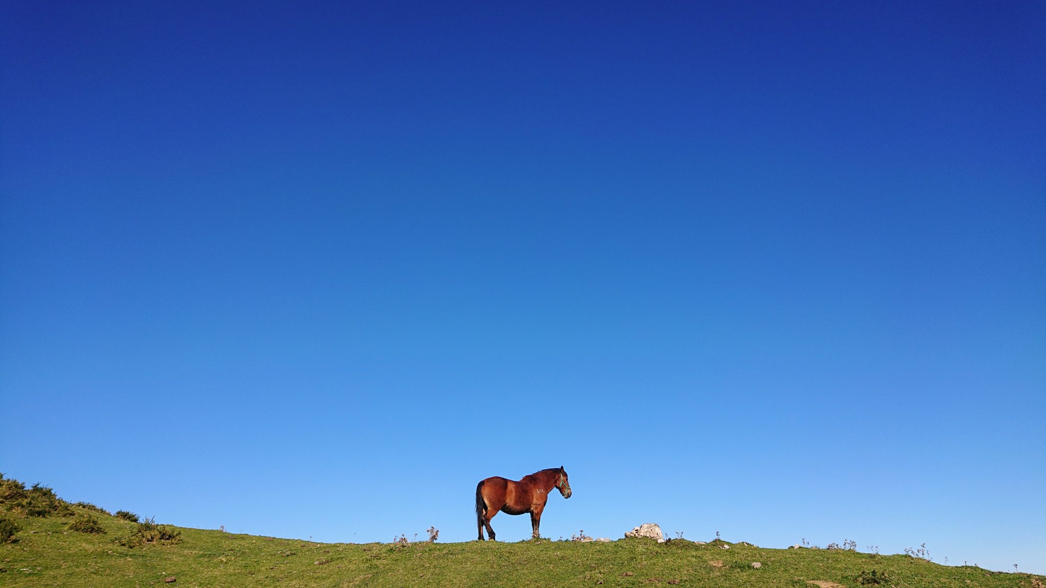Wanderung Mirador de Ordiales Picos de Europa Spanien, Pferd, blauer wolkenloser Himmel,