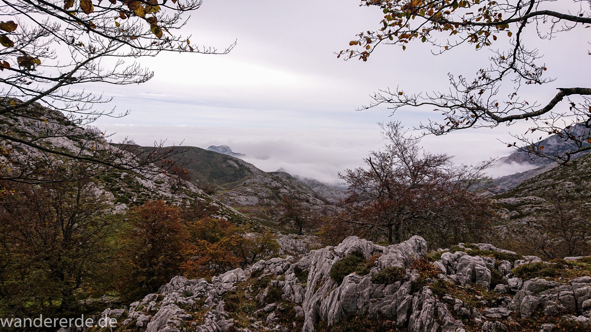 Wanderung Vega de Ario Picos de Europa Spanien, Bäume in Bergregion, Steine und Felsen, dichte Wolkenfelder