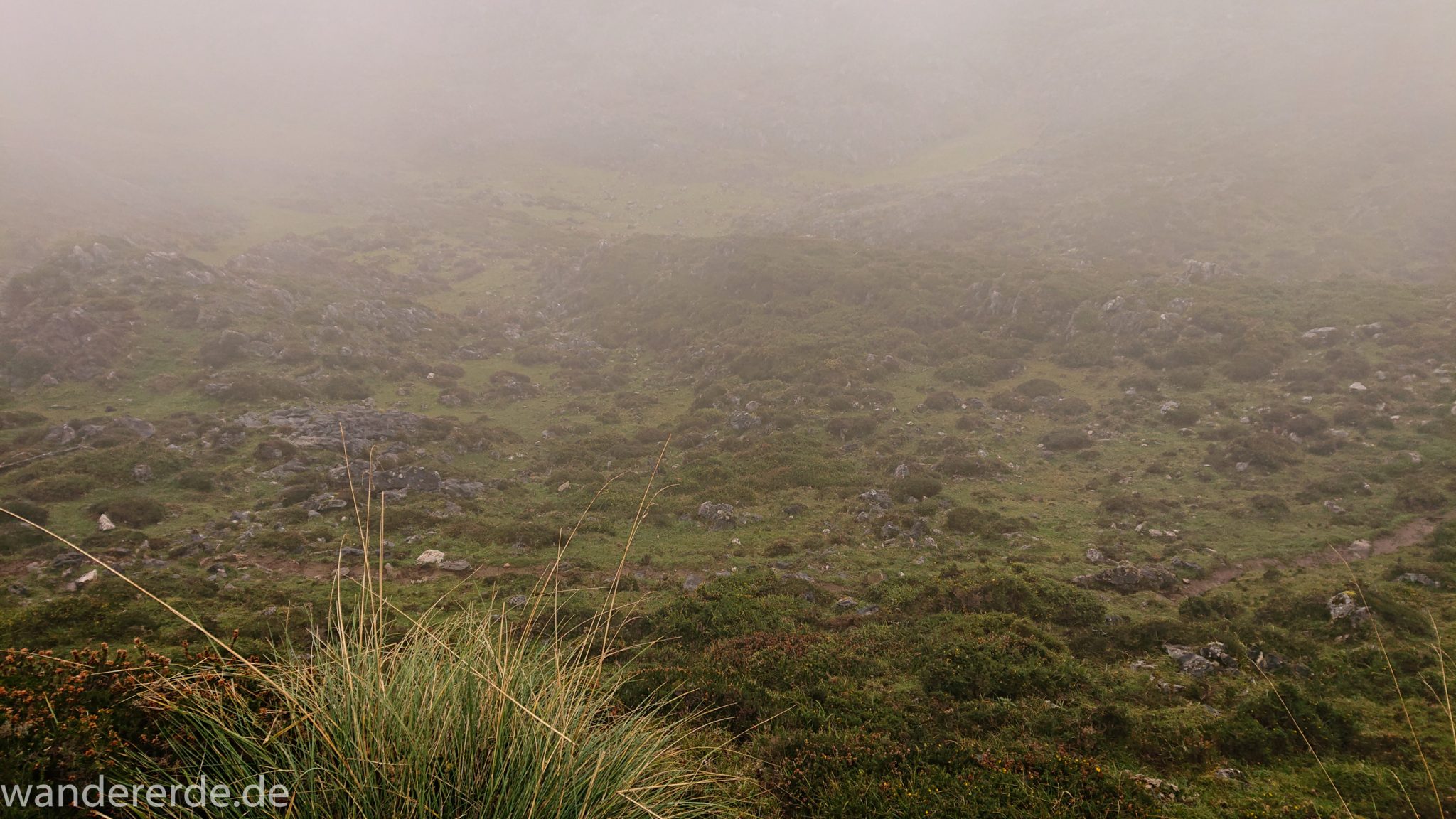 Wanderung Vega de Ario Picos de Europa Spanien, dichte Wolken, Bergregion in Nordspanien, Wandern, zerklüftete Felsen, Steine, schmaler Wanderpfad, atmosphärisch, grüne Wiese, Wolken ziehen auf, Grasbüschel