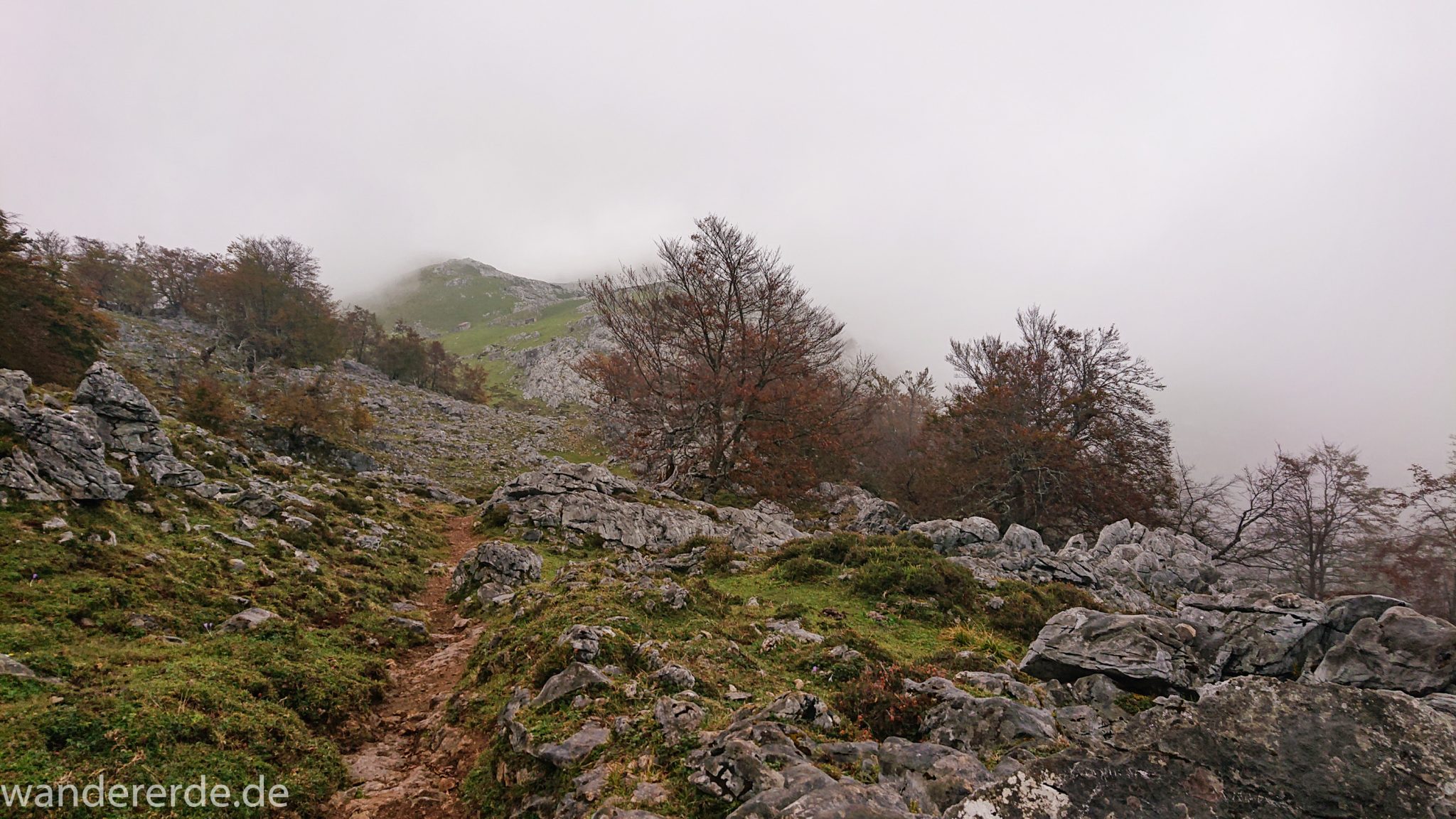 Wanderung Vega de Ario Picos de Europa Spanien, Bäume in Bergregion, Steine, dichte Wolkenfelder, zerklüftete Felsen, schmaler Wanderpfad, keine weite Aussicht