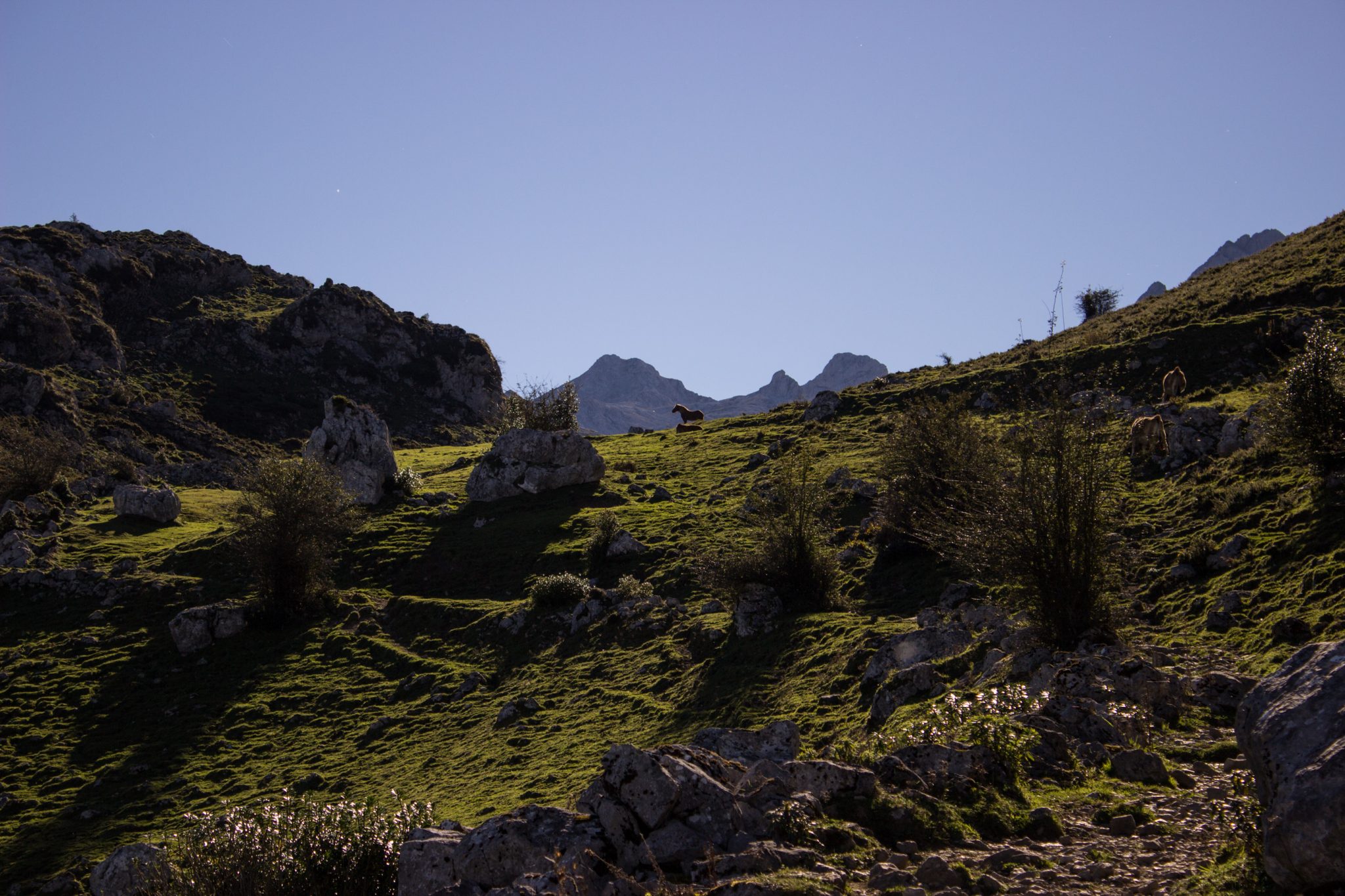 Wanderung Mirador de Ordiales Picos de Europa Spanien, Berge, Felsen