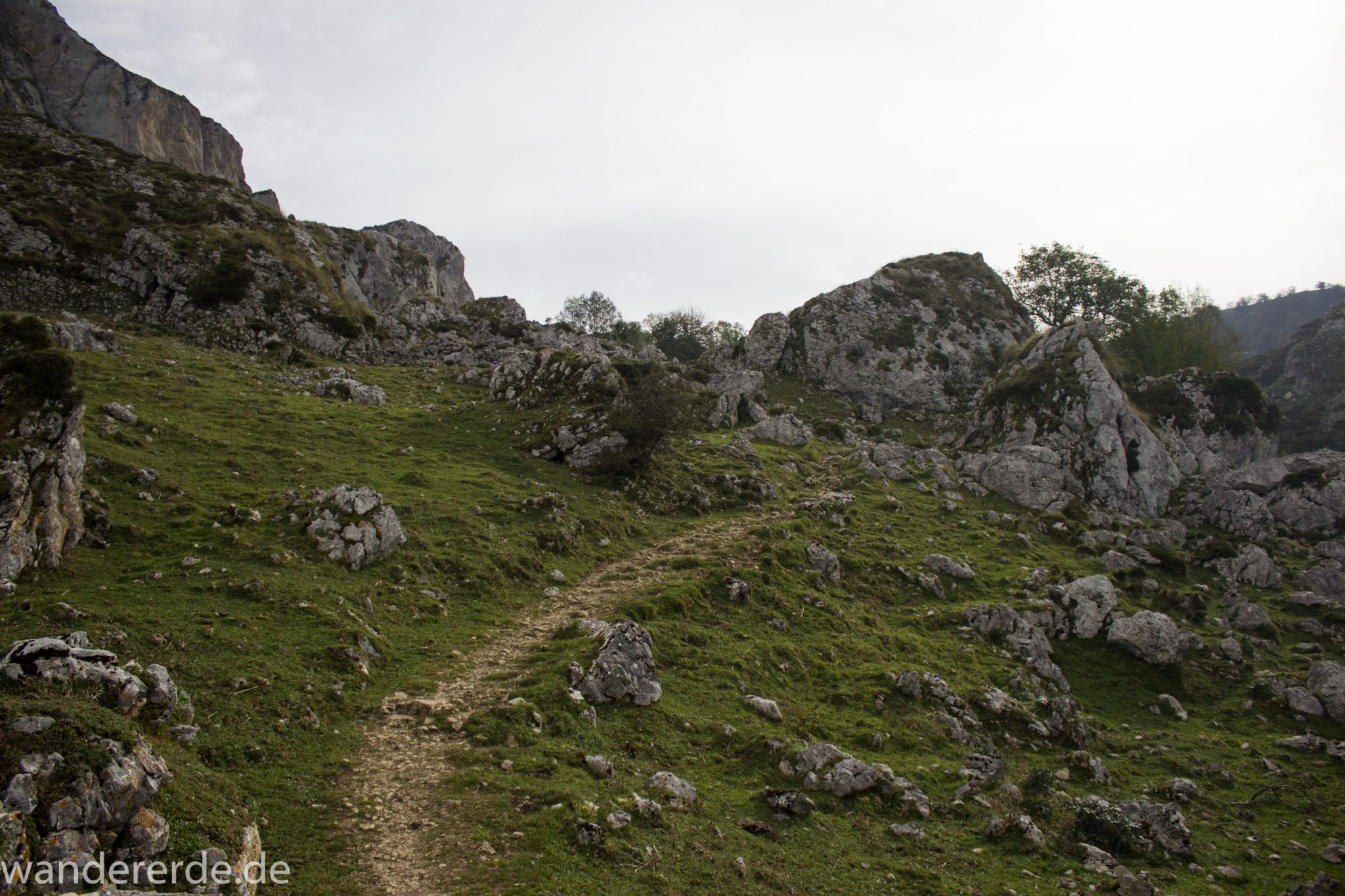 Wanderung Vega de Ario Picos de Europa Spanien, Kieselsteine, Berge, Wolken, kurze Sicht, grüne Wiese, zerklüftete Felsen, Bergregion, schmaler Wanderpfad