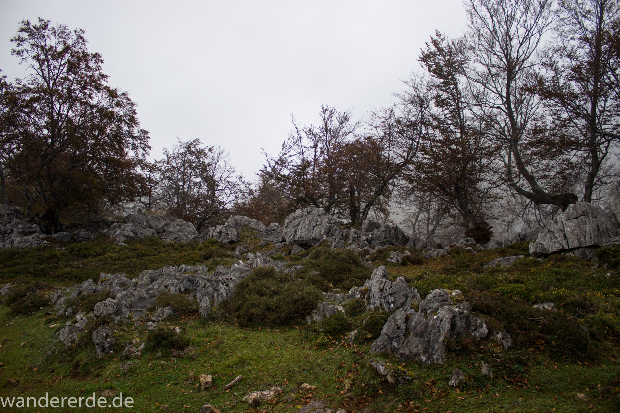 Wanderung Vega de Ario Picos de Europa Spanien, Bäume in Bergregion, Steine, dichte Wolkenfelder, zerklüftete Felsen, keine weite Aussicht, grüne Wiese