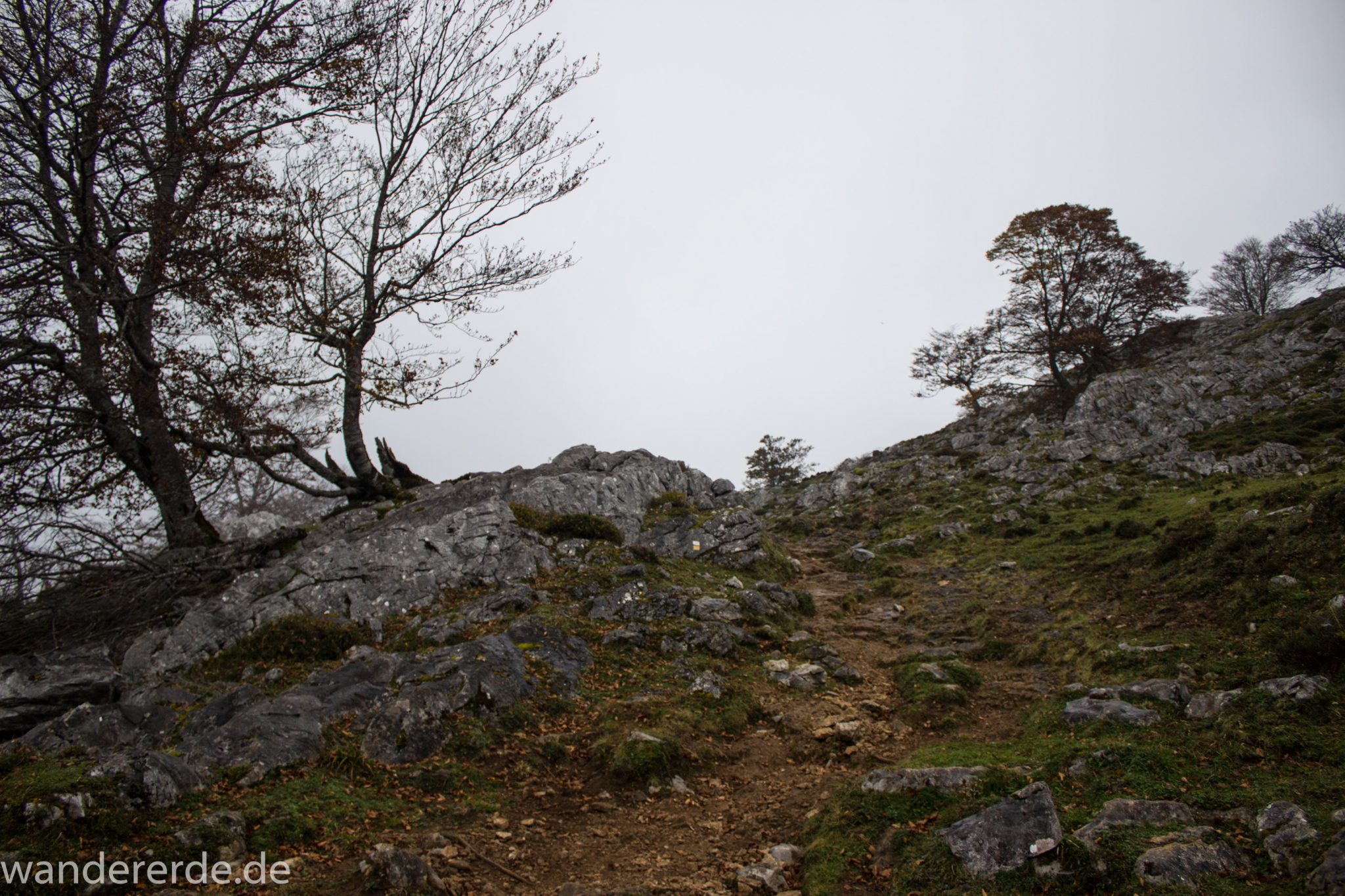 Wanderung Vega de Ario Picos de Europa Spanien, Bäume in Bergregion, Steine, dichte Wolkenfelder, zerklüftete Felsen, keine weite Aussicht, grüne Wiese, schmaler Wanderpfad