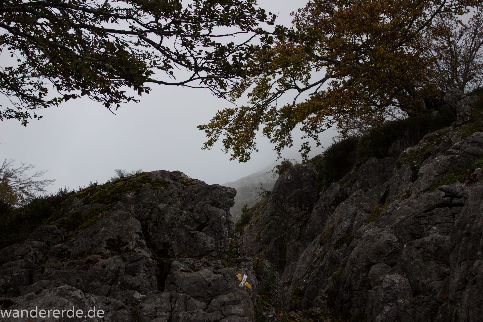 Wanderung Vega de Ario Picos de Europa Spanien, Bäume in Bergregion, Steine, dichte Wolkenfelder, zerklüftete Felsen, keine weite Aussicht, grüne Wiese, schmaler Wanderpfad, Wegmarkierung für falsche Richtung
