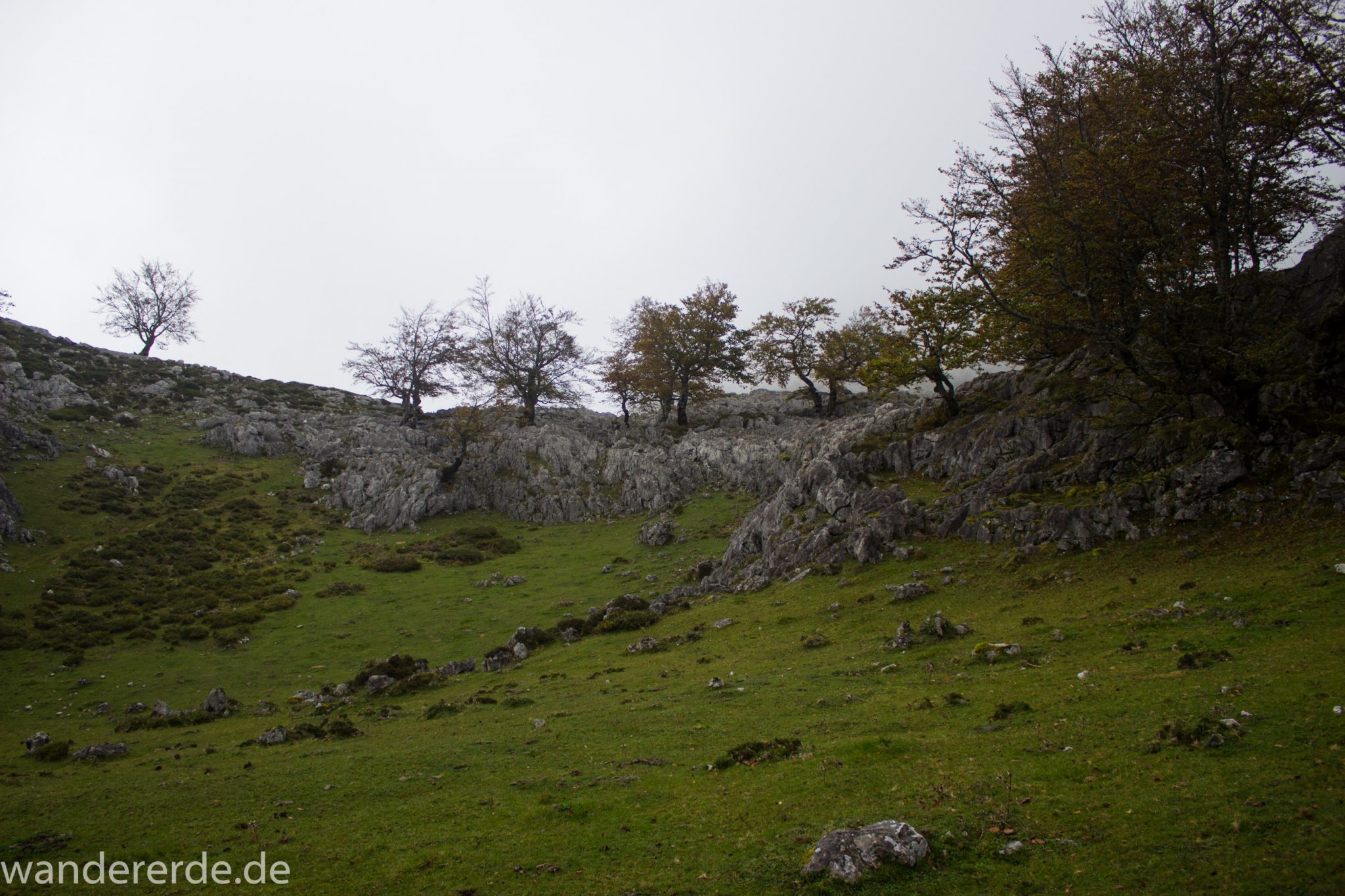 Wanderung Vega de Ario Picos de Europa Spanien, dichte Wolken, Bergregion in Nordspanien, Wandern, zerklüftete Felsen, Steine, atmosphärisch, grüne Wiese und Bäume