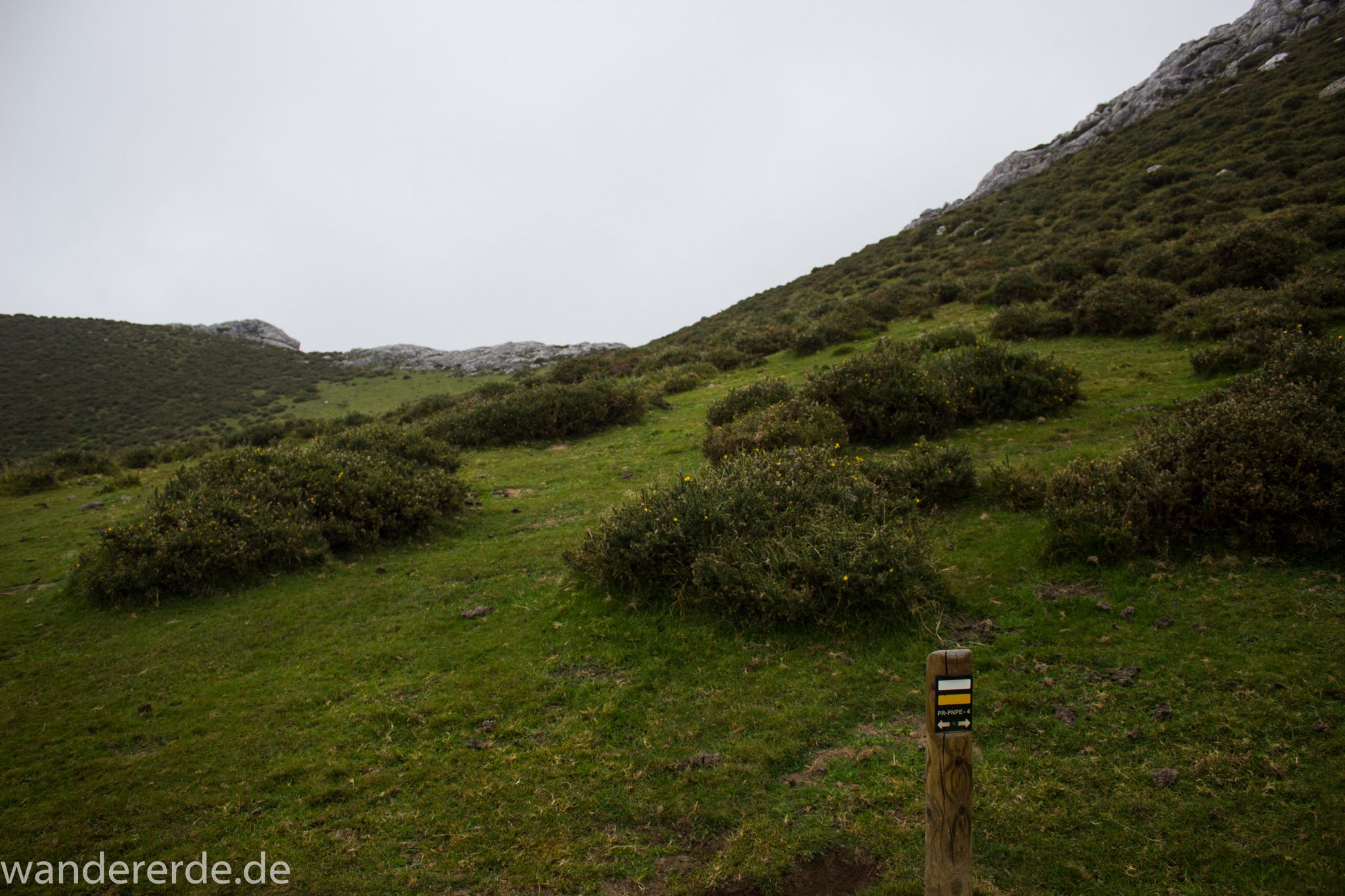 Wanderung Vega de Ario Picos de Europa Spanien, dichte Wolken, Bergregion in Nordspanien, Wandern, atmosphärisch, saftig grüne Wiese und Büsche, Wegweiser Schild weiß gelb
