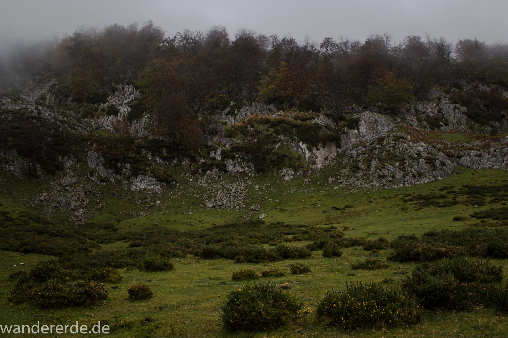 Wanderung Vega de Ario Picos de Europa Spanien, dichte Wolken, Bergregion in Nordspanien, Wandern, atmosphärisch, saftig grüne Wiese, Büsche und Bäume, zerklüftete Felsen