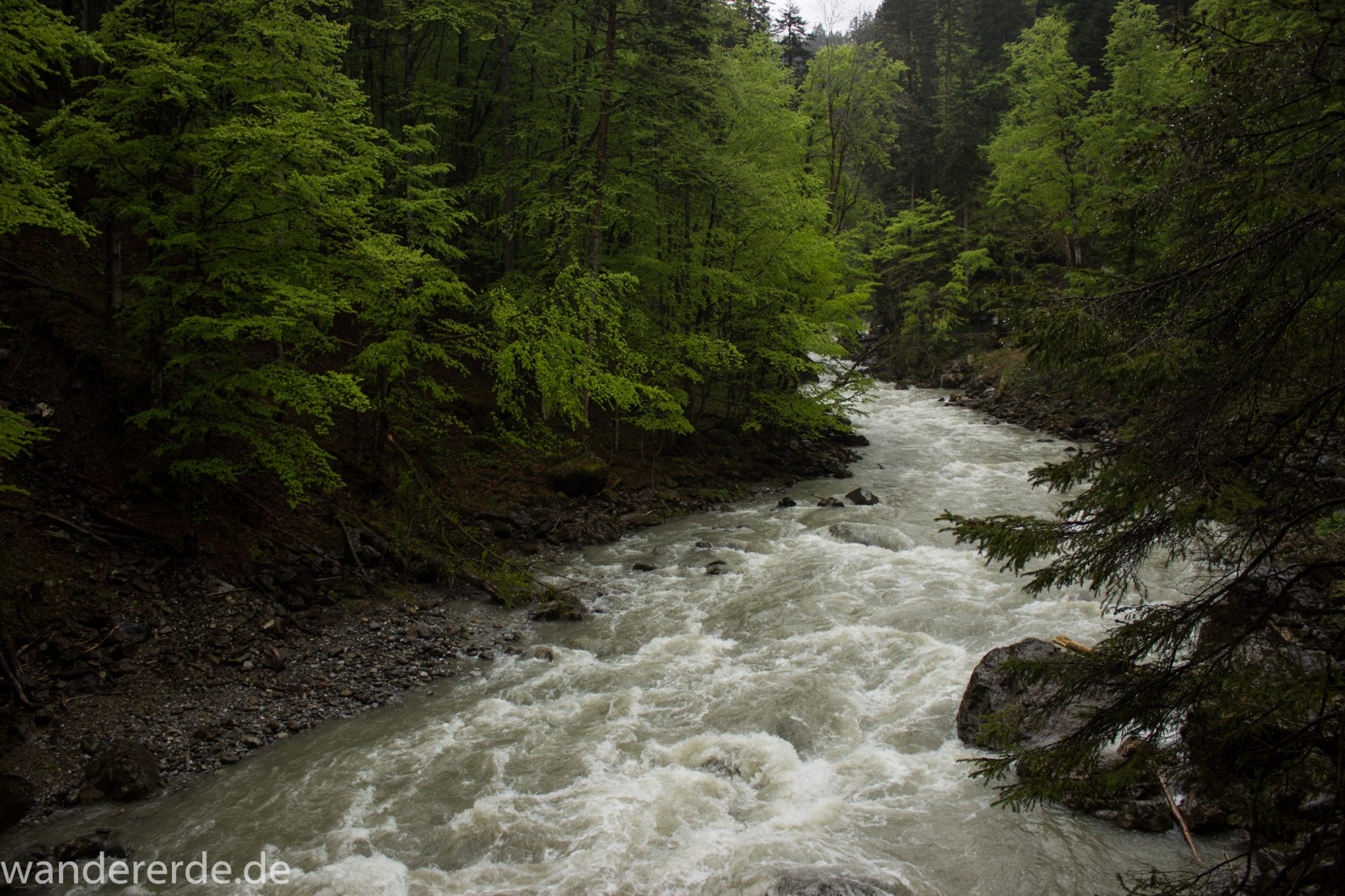 Wanderung durch die Breitachklamm im Allgäu, tosende Breitach nach starkem Regen, Klamm umgeben von schönem Wald, Felsen im Fluss, Schneeschmelze im Allgäu