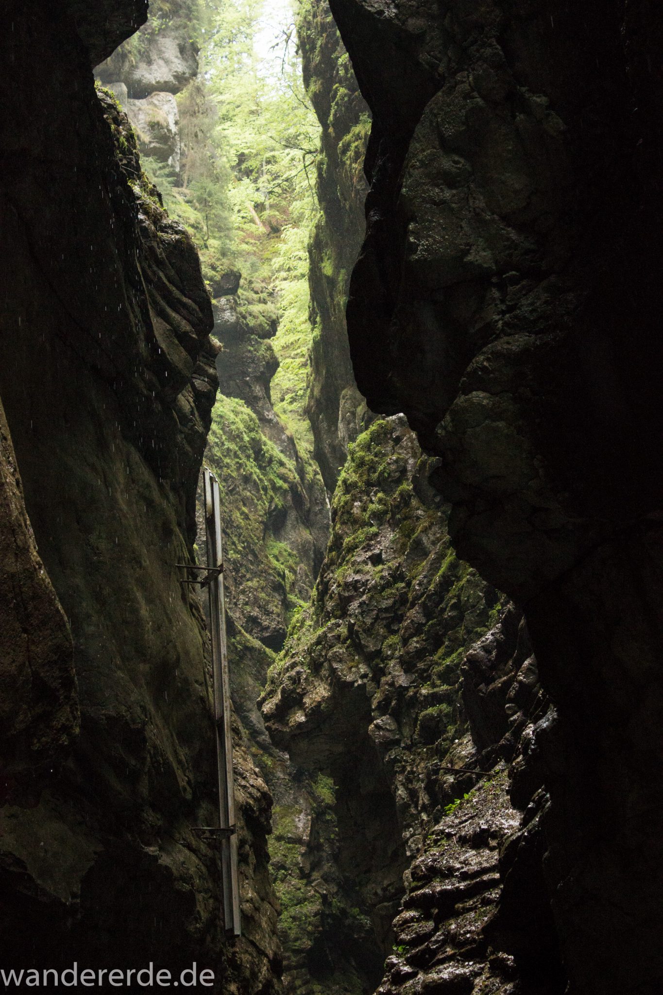 Wanderung durch die Breitachklamm im Allgäu, sehr hohe Felswände, tosende Breitach nach starkem Regen, Klamm umgeben von schönem Wald, Felsen im Fluss, Schneeschmelze im Allgäu, Wanderweg durch die Klamm