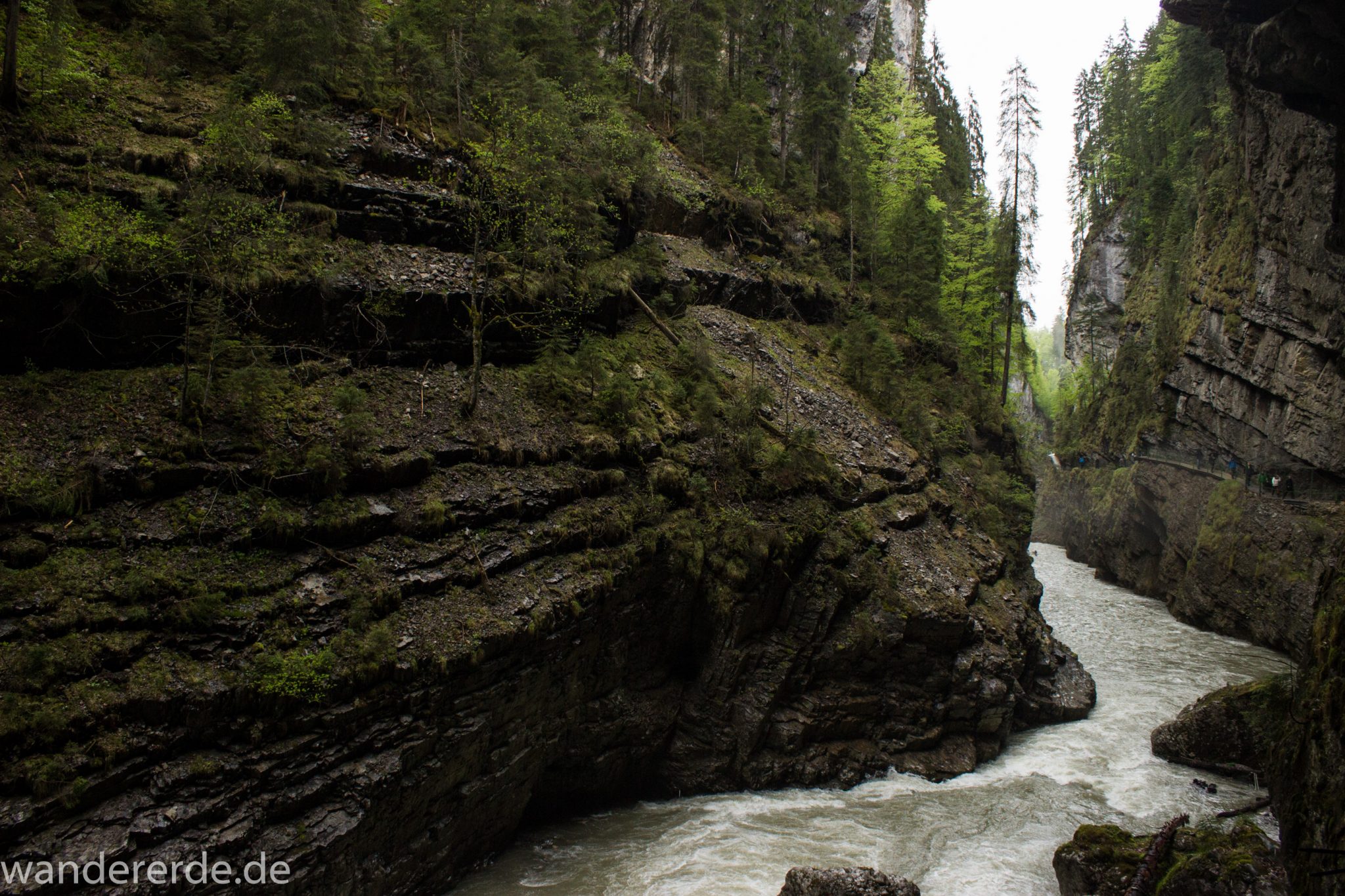 Wanderung durch die Breitachklamm im Allgäu, sehr hohe Felswände, tosende Breitach nach starkem Regen, Klamm umgeben von schönem Wald, Felsen im Fluss, Schneeschmelze im Allgäu, Wanderweg durch die Klamm