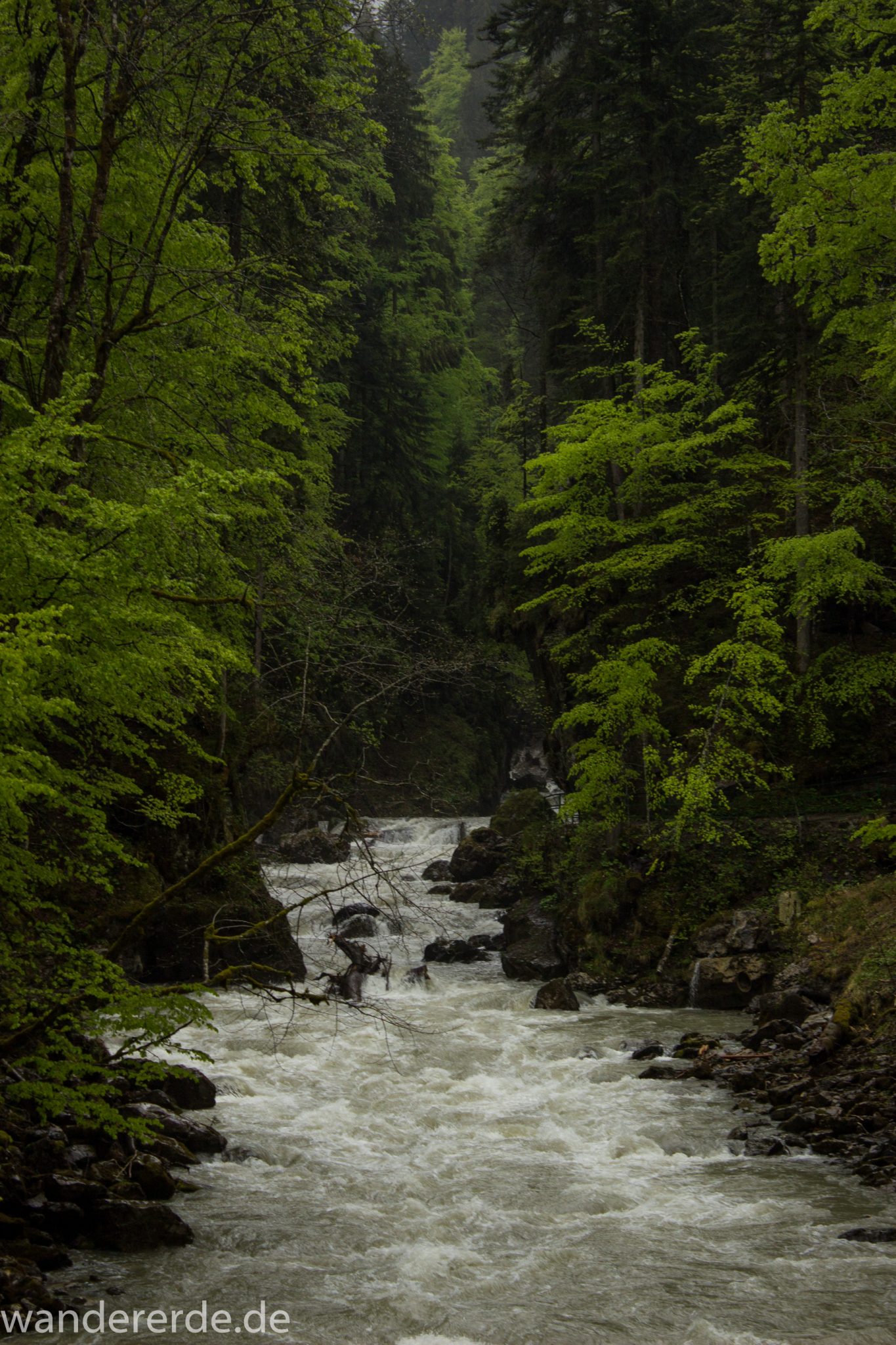 Wanderung durch die Breitachklamm im Allgäu, tosende Breitach nach starkem Regen, Klamm umgeben von schönem Wald, Felsen im Fluss, Schneeschmelze im Allgäu
