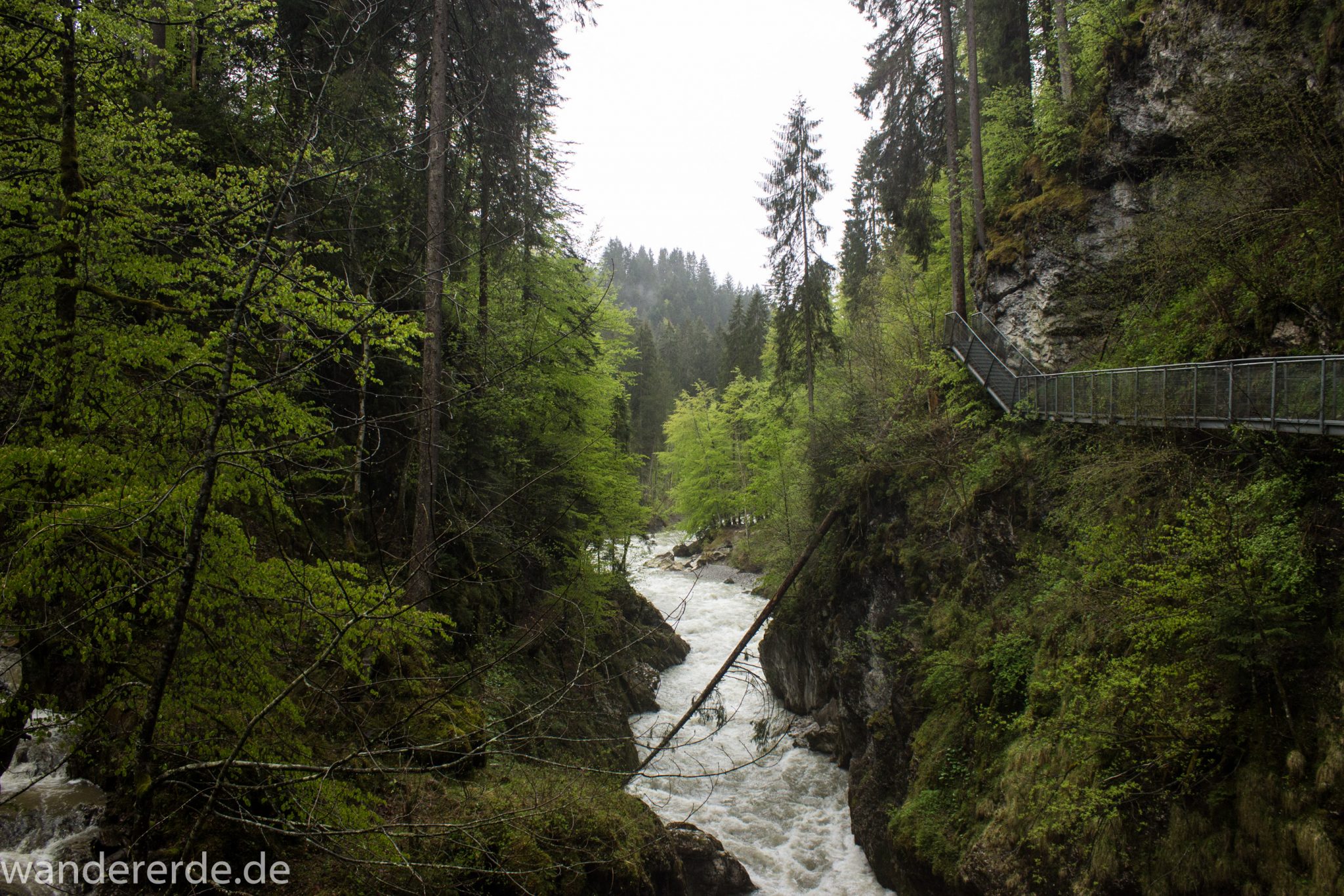 Wanderung durch die Breitachklamm im Allgäu, sehr hohe Felswände, tosende Breitach nach starkem Regen, Klamm umgeben von schönem Wald, Felsen im Fluss, Schneeschmelze im Allgäu, Wanderweg durch die Klamm