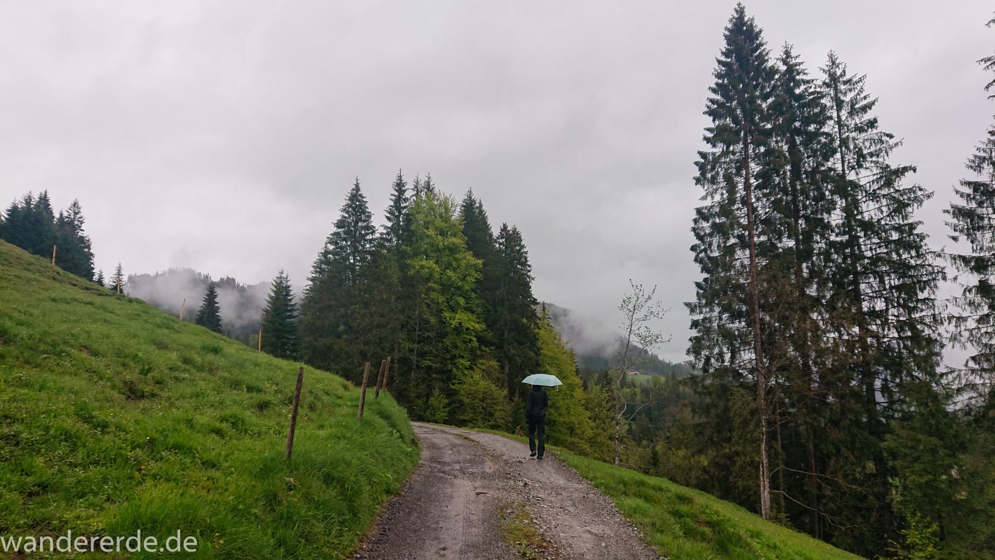 Wanderung bei der Breitachklamm im Allgäu, schöner Wald, saftige Wiesen, Wanderweg zum Waldhaus, schneebedeckte Berge in der Ferne
