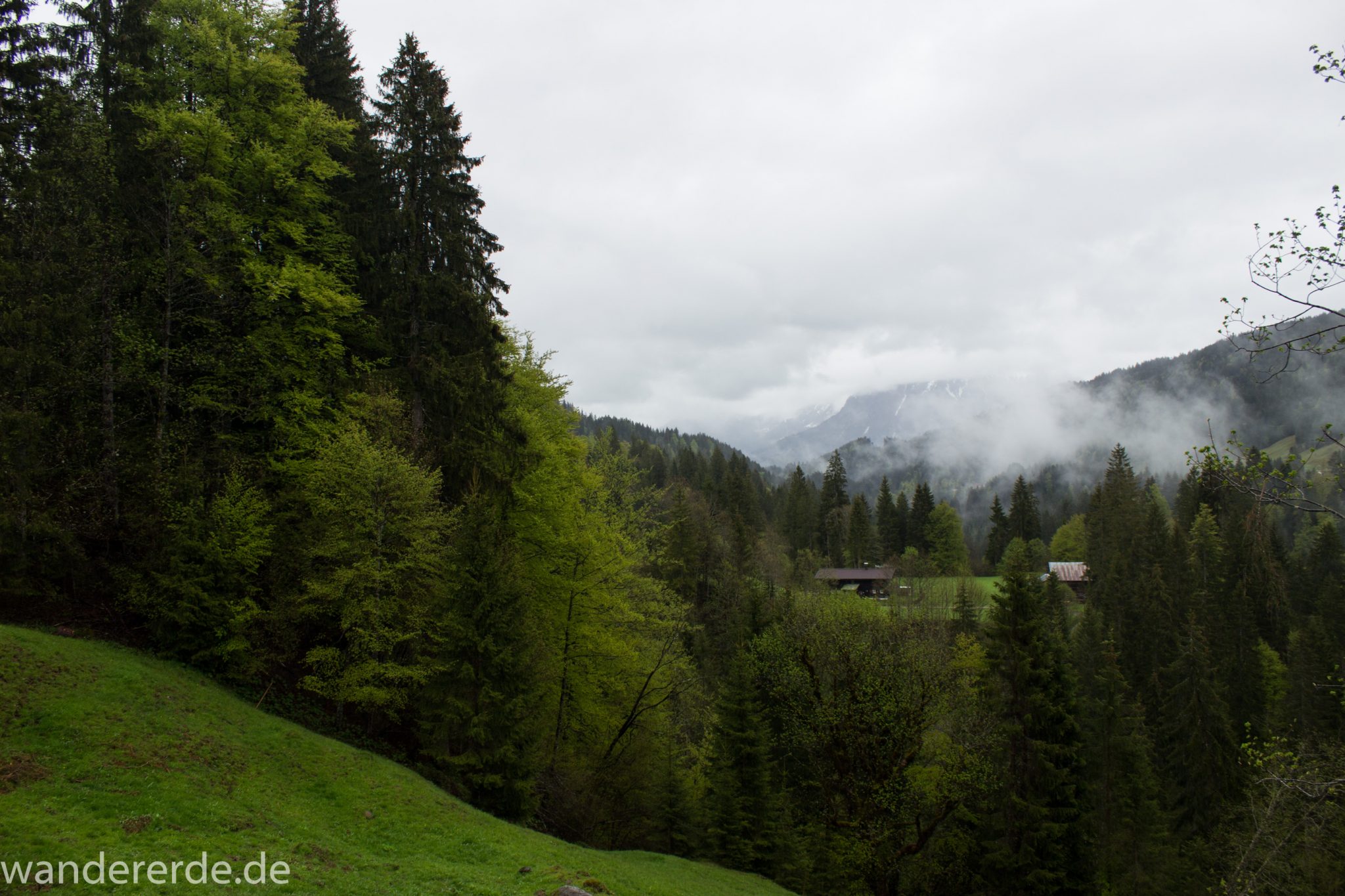 Wanderung bei der Breitachklamm im Allgäu, schöner Wald, saftige Wiesen, Wanderweg zum Waldhaus, schneebedeckte Berge in der Ferne