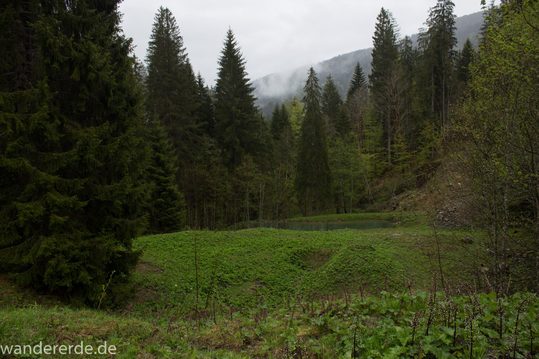 Wanderung bei der Breitachklamm im Allgäu, schöner Wald, saftige Wiesen, Wanderweg zum Waldhaus, schneebedeckte Berge in der Ferne