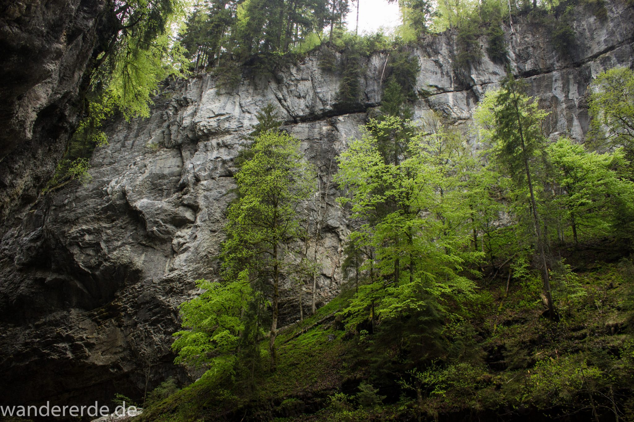 Wanderung durch die Breitachklamm im Allgäu, sehr hohe Felswände, Klamm umgeben von schönem Wald, Felsen im Fluss, Schneeschmelze im Allgäu, Wanderweg durch die Klamm