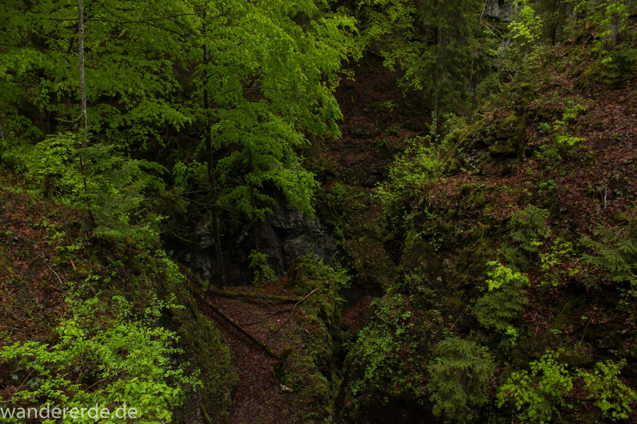 Wanderung bei der Breitachklamm im Allgäu, Wanderweg zum Waldhaus umgeben von schönem Wald