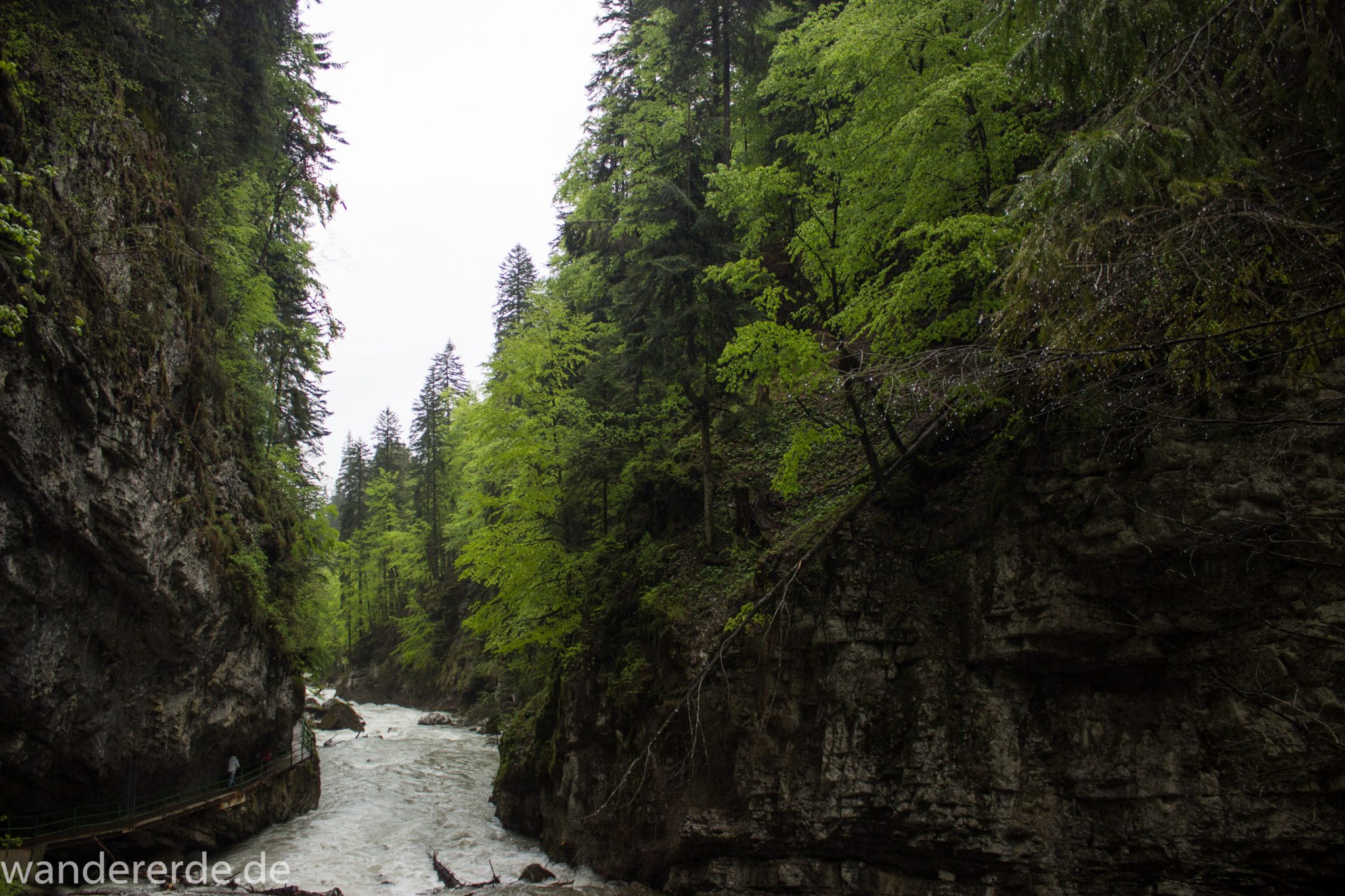 Wanderung durch die Breitachklamm im Allgäu, tosende Breitach nach starkem Regen, Klamm umgeben von schönem Wald, Felsen im Fluss, Schneeschmelze im Allgäu