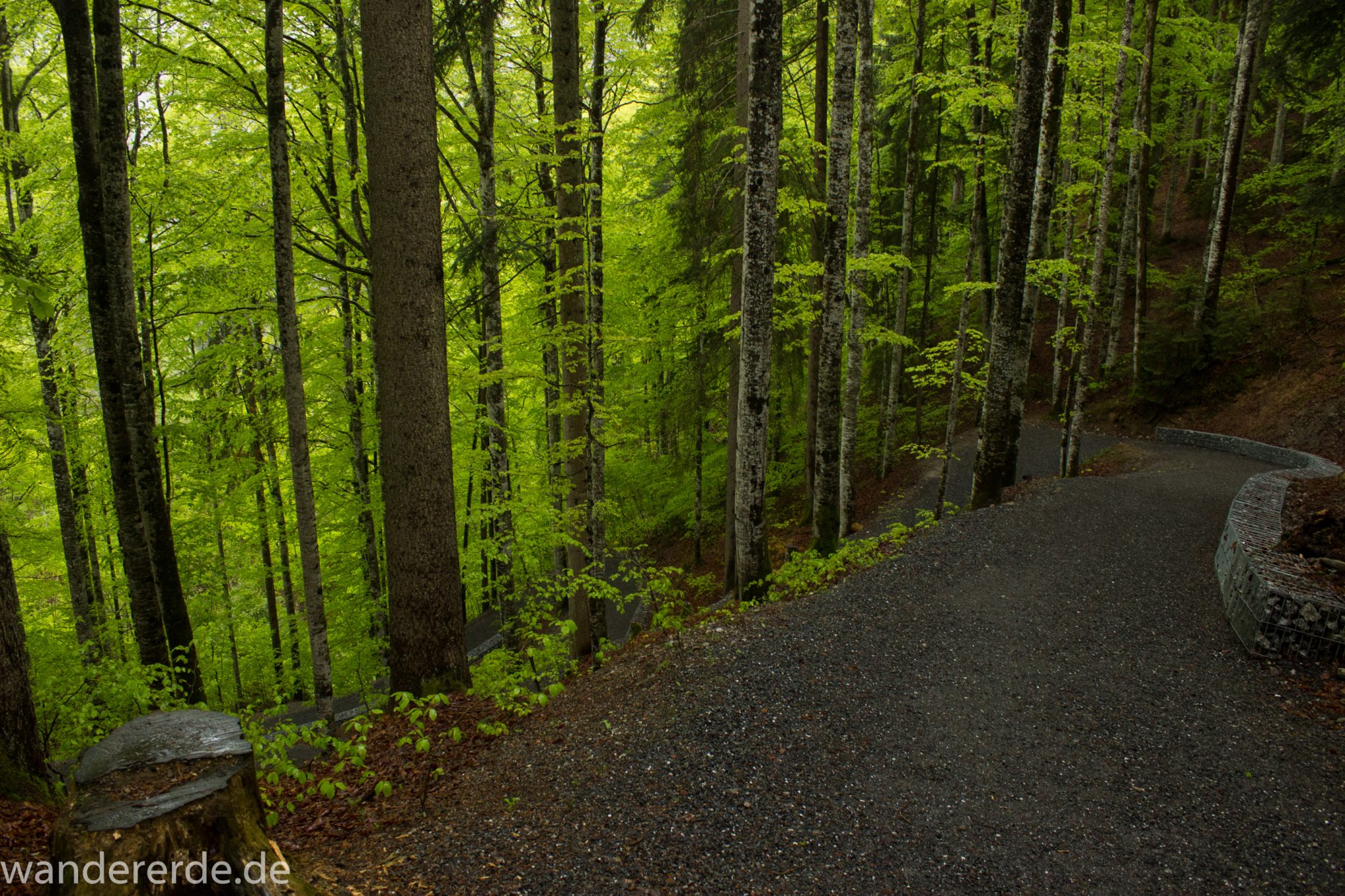 Wanderung bei der Breitachklamm im Allgäu, toller Wanderweg umgeben von schönem und dichtem Wald