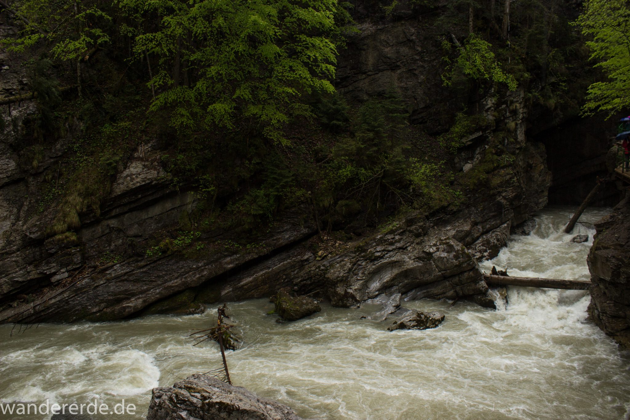 Wanderung durch die Breitachklamm im Allgäu, tosende Breitach nach starkem Regen, Klamm umgeben von schönem Wald, Felsen im Fluss, Schneeschmelze im Allgäu