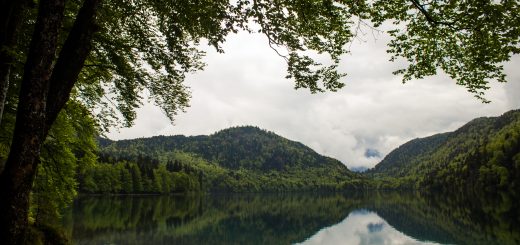 Alpsee bei Hohenschwangau, in der Nähe von Schloss Neuschwanstein, Aussicht auf Alpsee mit grünem Wald ringsrum, Laubbaum, Nadelbaum, dichte Bewölkung, Umgebung spiegelt sich im See