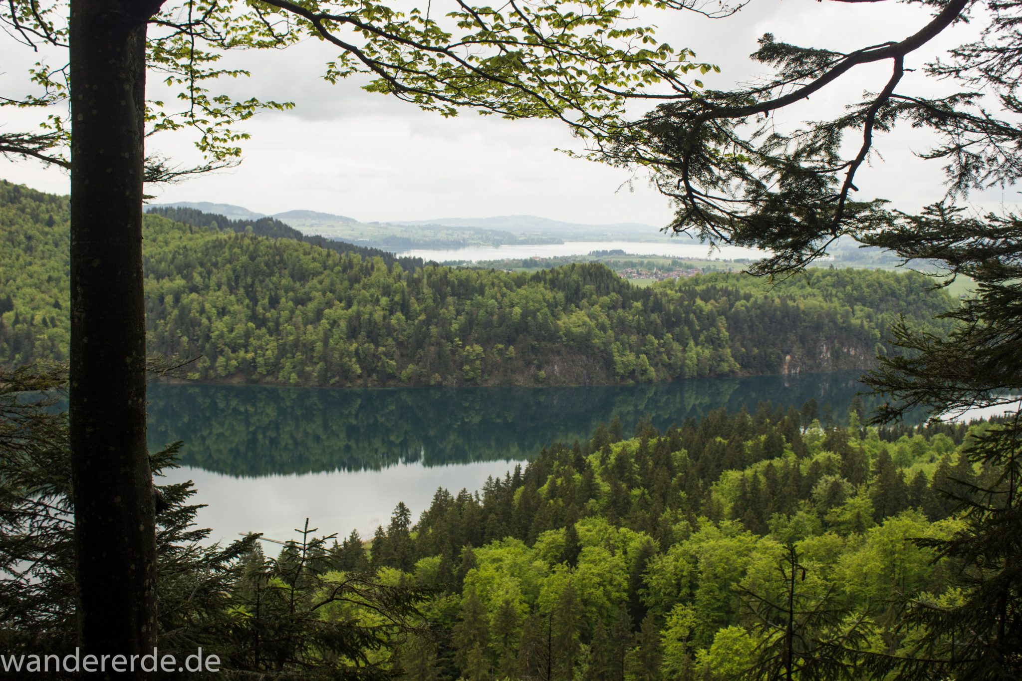 Alpsee bei Hohenschwangau, in der Nähe von Schloss Neuschwanstein, Aussicht auf Alpsee mit grünem Wald ringsrum, Laubbaum, Nadelbaum, dichte Bewölkung, Umgebung spiegelt sich im See, Rundwanderweg um den Alpsee