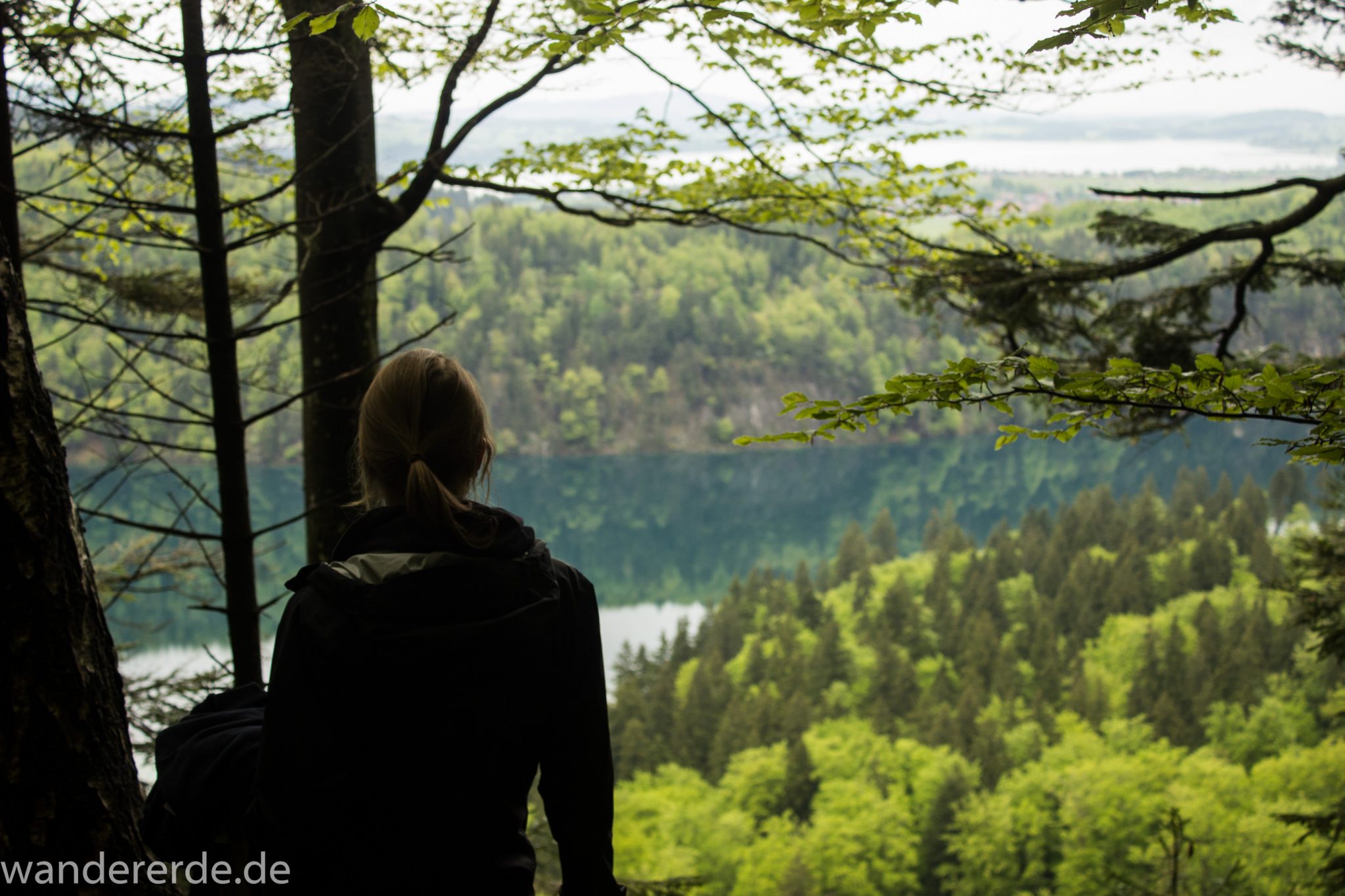 Alpsee bei Hohenschwangau, in der Nähe von Schloss Neuschwanstein, Aussicht auf Alpsee mit grünem Wald ringsrum, Laubbaum, Nadelbaum, dichte Bewölkung, Umgebung spiegelt sich im See