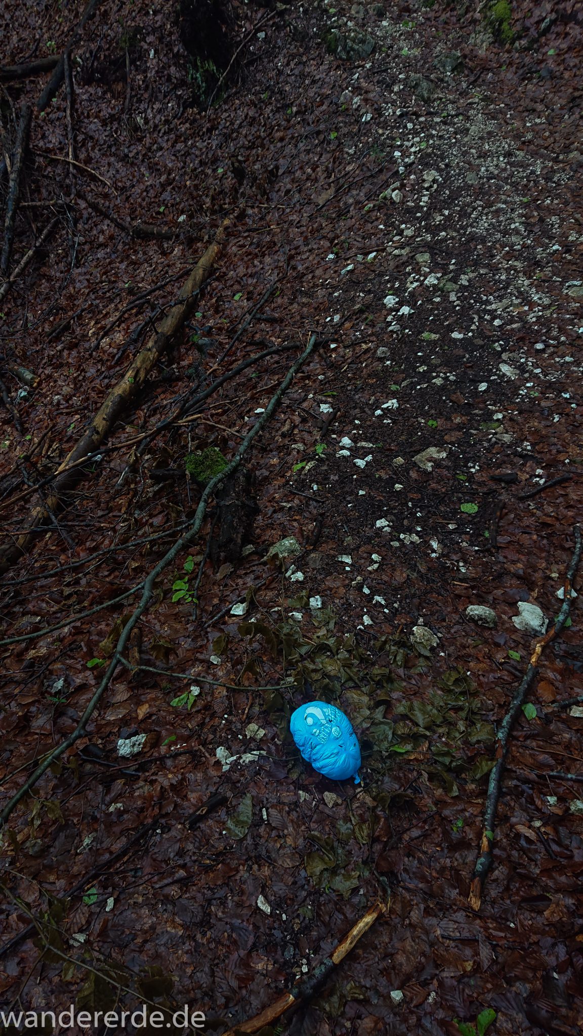Wanderung beim Alpsee bei Hohenschwangau, Wanderweg durch Laubwald und Nadelwald, Frühling in Bayern, Resultat von Luftballon steigen lassen