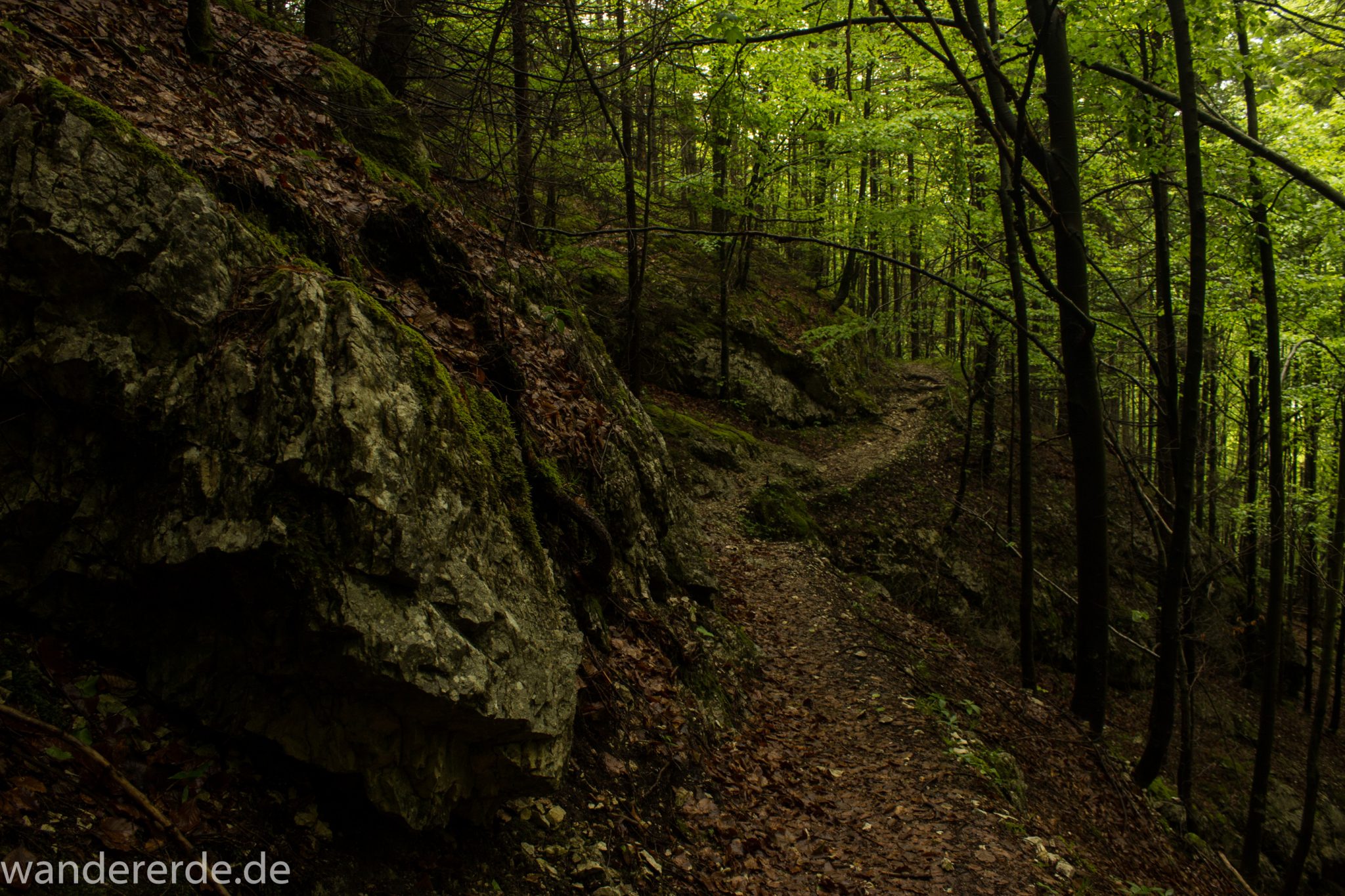 Wanderung beim Alpsee bei Hohenschwangau, schöner schmaler Wanderweg durch Laubwald und Nadelwald, Frühling in Bayern, große Felsen am Wegrand