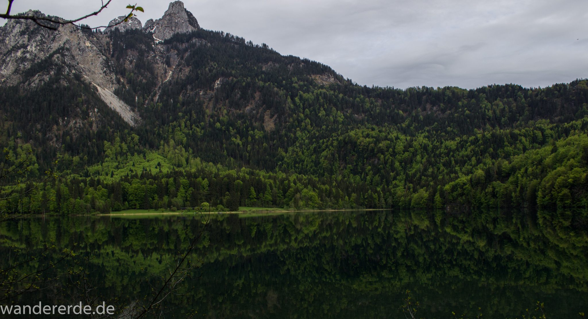 Alpsee bei Hohenschwangau, in der Nähe von Schloss Neuschwanstein, Aussicht auf Alpsee mit grünem Wald ringsrum, Laubbaum, Nadelbaum, dichte Bewölkung, Umgebung spiegelt sich im See, Bergkette