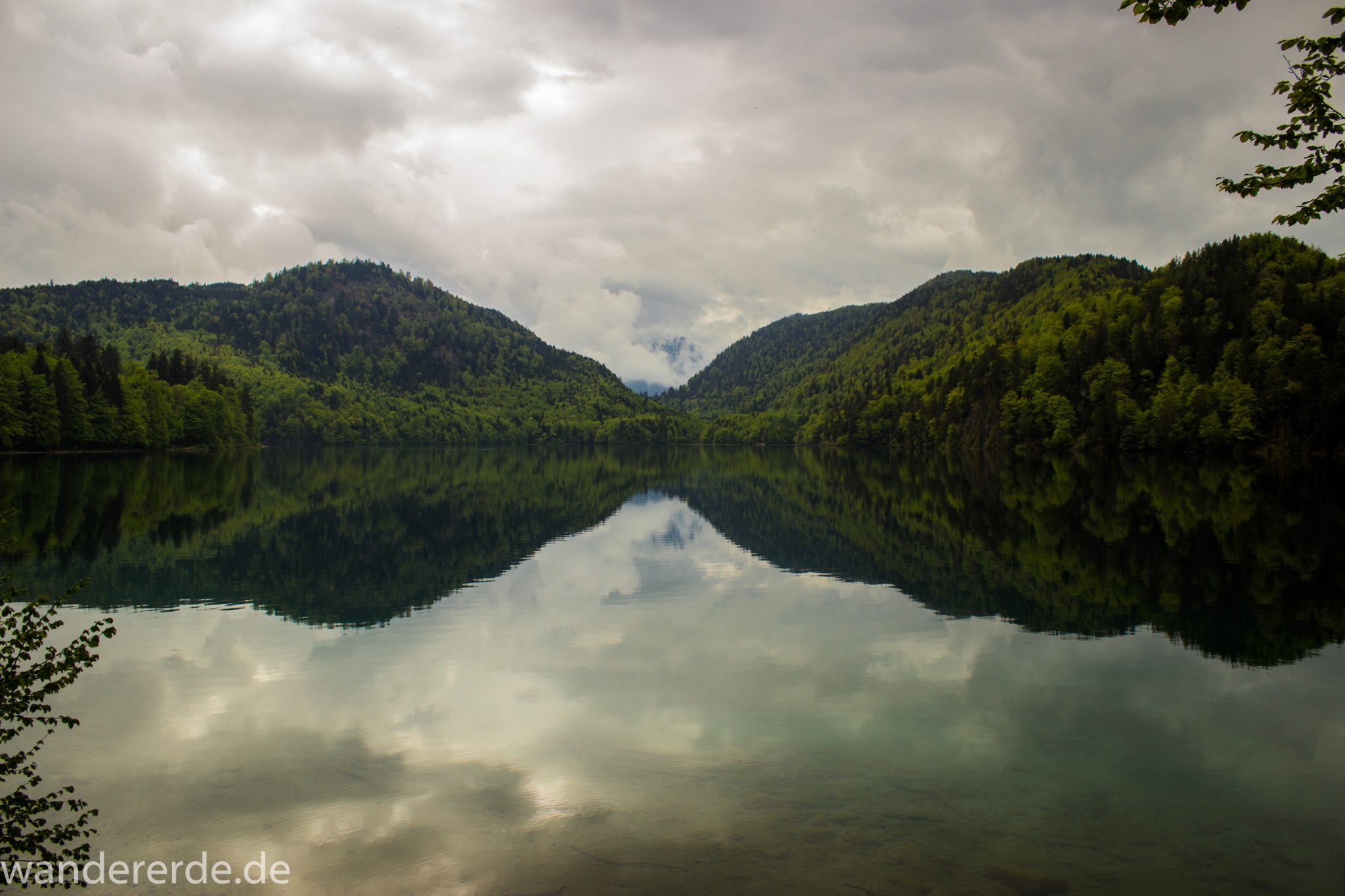 Alpsee bei Hohenschwangau, in der Nähe von Schloss Neuschwanstein, Aussicht auf Alpsee mit grünem Wald ringsrum, Laubbaum, Nadelbaum, dichte Bewölkung, Umgebung spiegelt sich im See