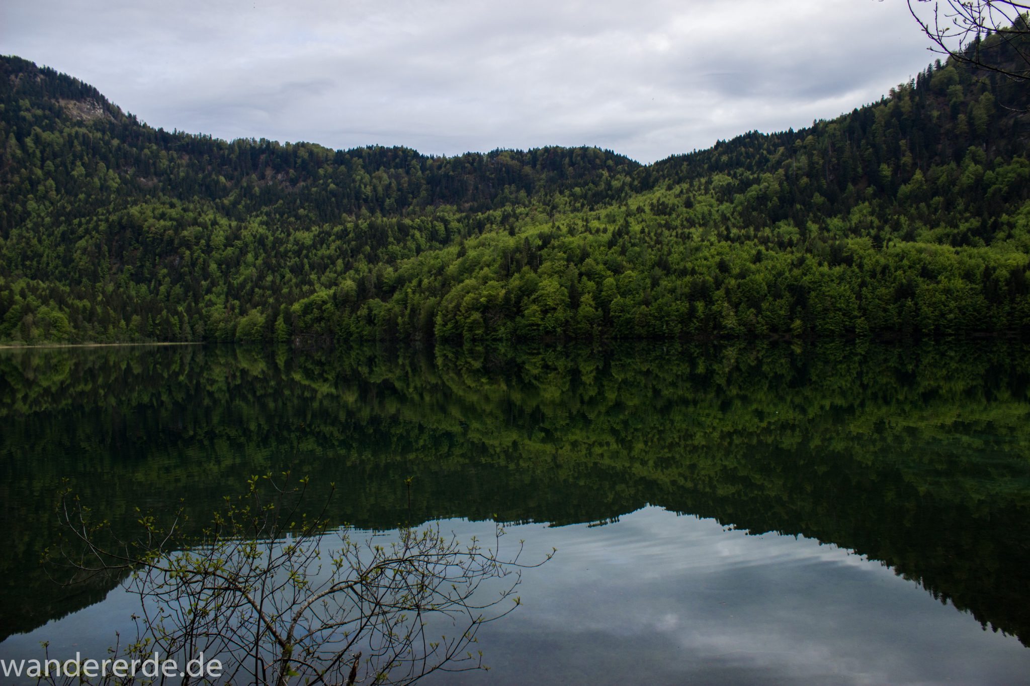 Alpsee bei Hohenschwangau, in der Nähe von Schloss Neuschwanstein, Aussicht auf Alpsee mit grünem Wald ringsrum, Laubbaum, Nadelbaum, dichte Bewölkung, Umgebung spiegelt sich im See, Rundwanderweg um den Alpsee