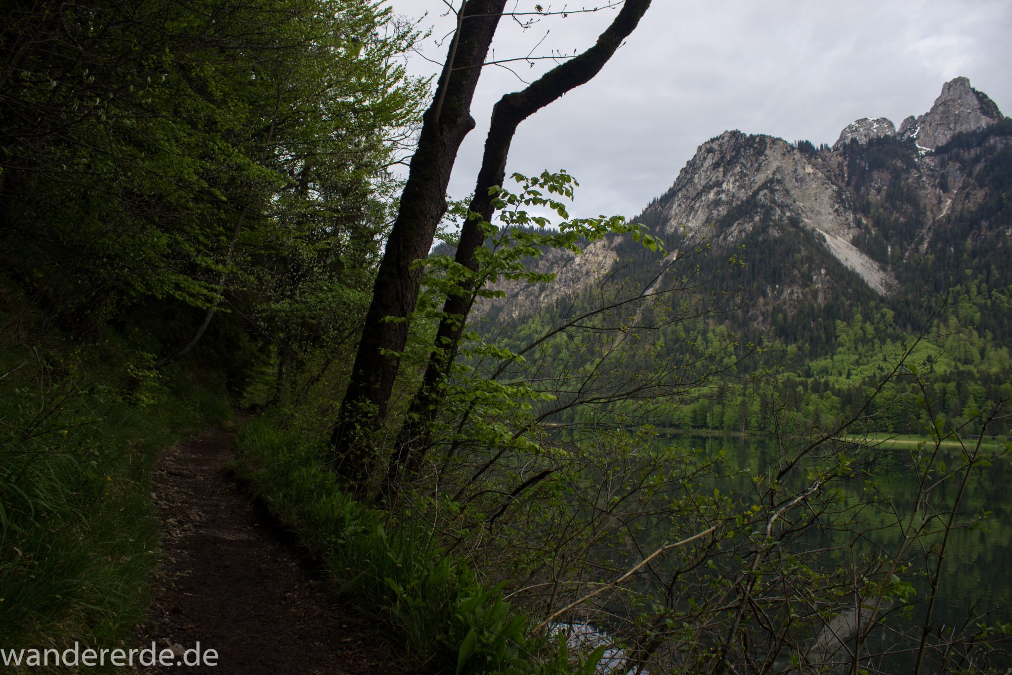 Alpsee bei Hohenschwangau, in der Nähe von Schloss Neuschwanstein, Aussicht auf Alpsee mit grünem Wald ringsrum, Laubbaum, Nadelbaum, dichte Bewölkung, Umgebung spiegelt sich im See, Rundwanderweg um den Alpsee