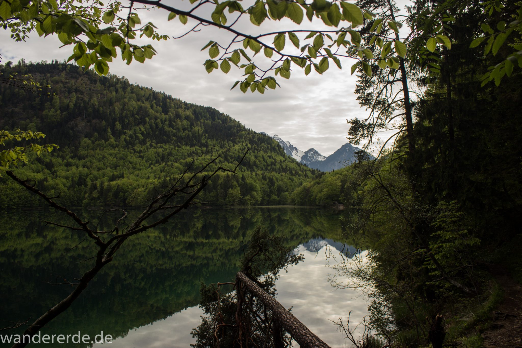 Alpsee bei Hohenschwangau, in der Nähe von Schloss Neuschwanstein, Aussicht auf Alpsee mit grünem Wald ringsrum, Laubbaum, Nadelbaum, dichte Bewölkung, Umgebung spiegelt sich im See, Rundwanderweg um den Alpsee, Bergkette in der Ferne
