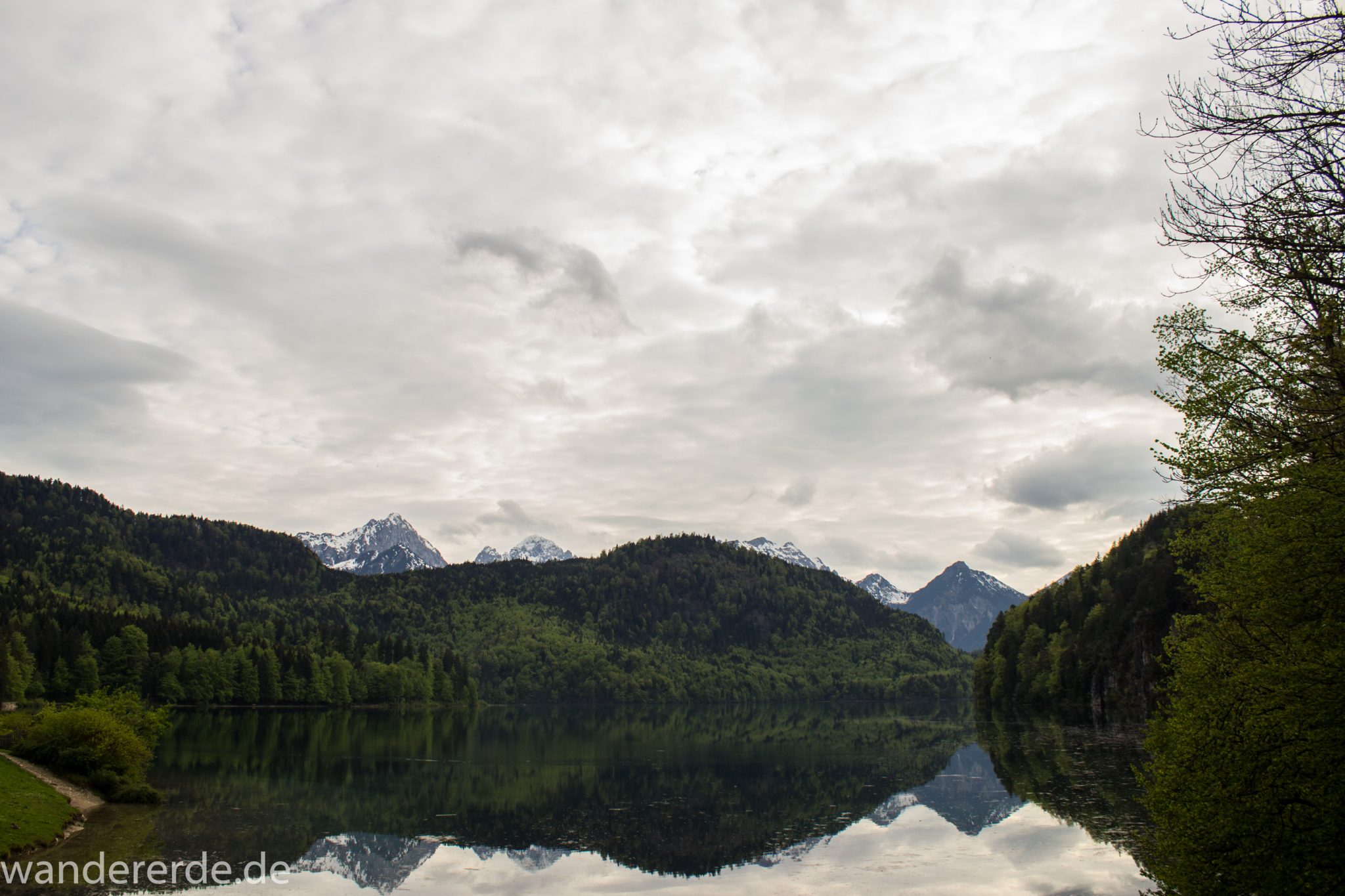 Alpsee bei Hohenschwangau, in der Nähe von Schloss Neuschwanstein, Aussicht auf Alpsee mit grünem Wald ringsrum, Laubbaum, Nadelbaum, dichte Bewölkung, Umgebung spiegelt sich im See, Rundwanderweg um den Alpsee, Bergkette in der Ferne