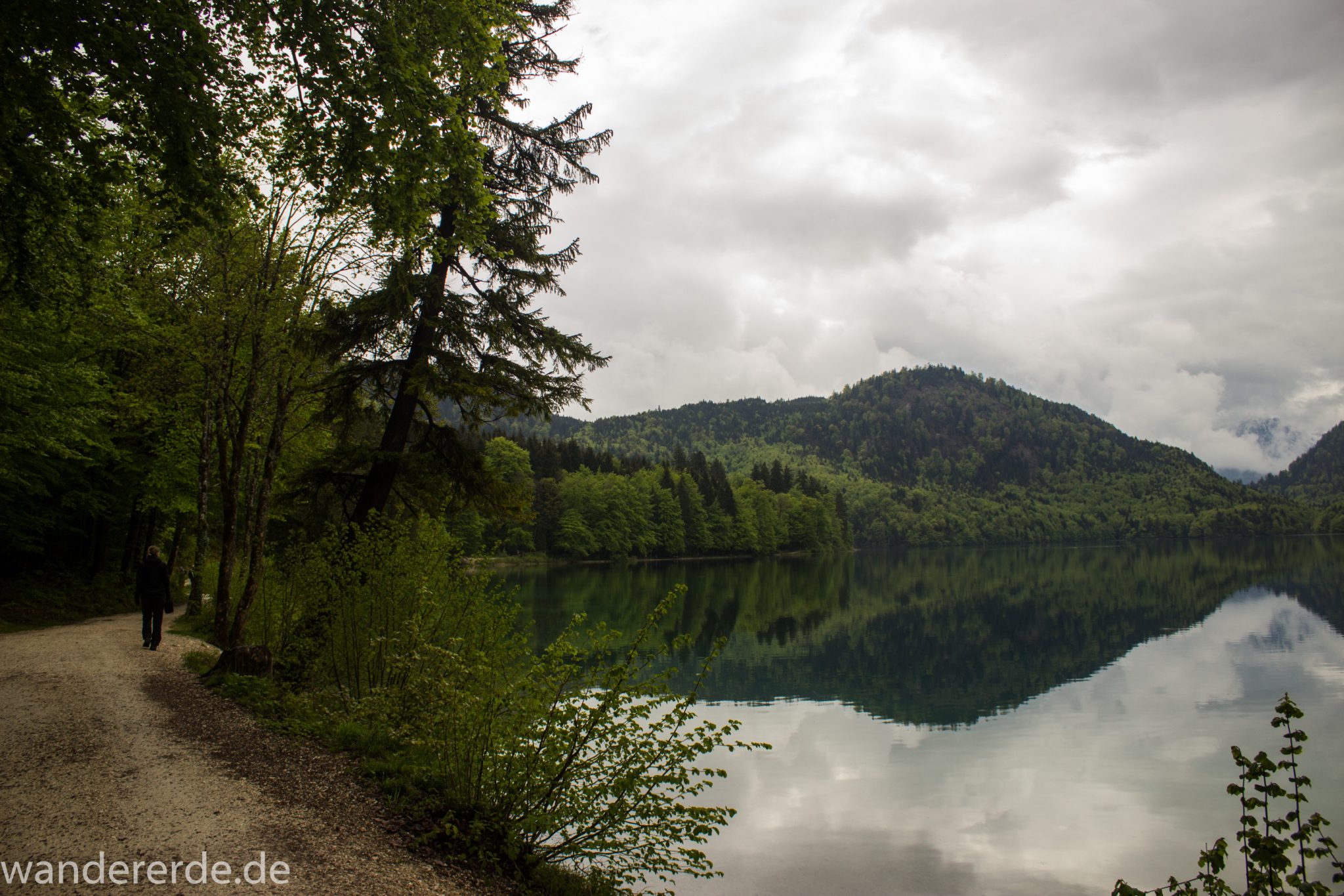 Alpsee bei Hohenschwangau, in der Nähe von Schloss Neuschwanstein, Aussicht auf Alpsee mit grünem Wald ringsrum, Laubbaum, Nadelbaum, dichte Bewölkung, Umgebung spiegelt sich im See, Rundwanderweg um den Alpsee
