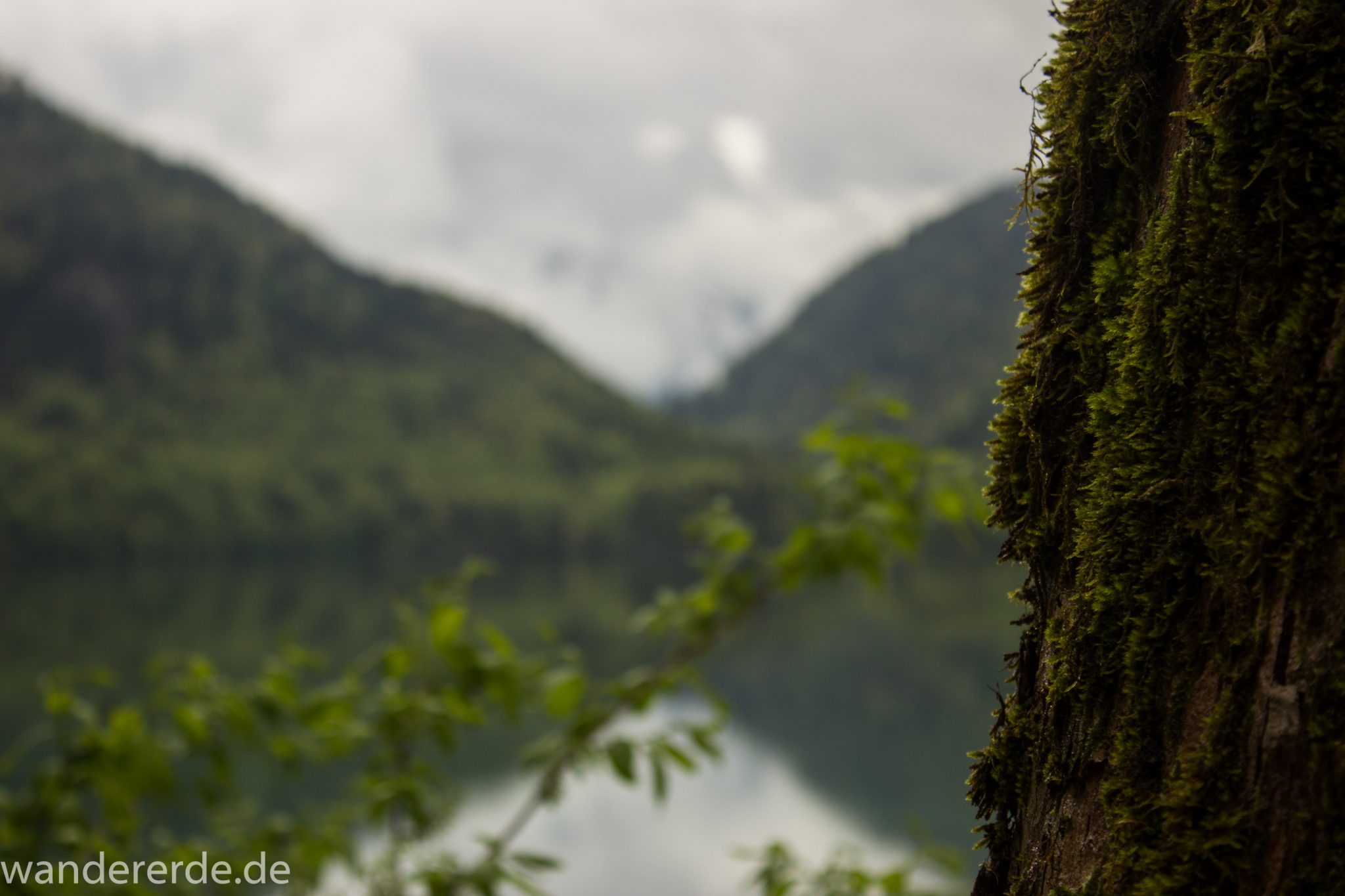 Wanderung beim Alpsee bei Hohenschwangau