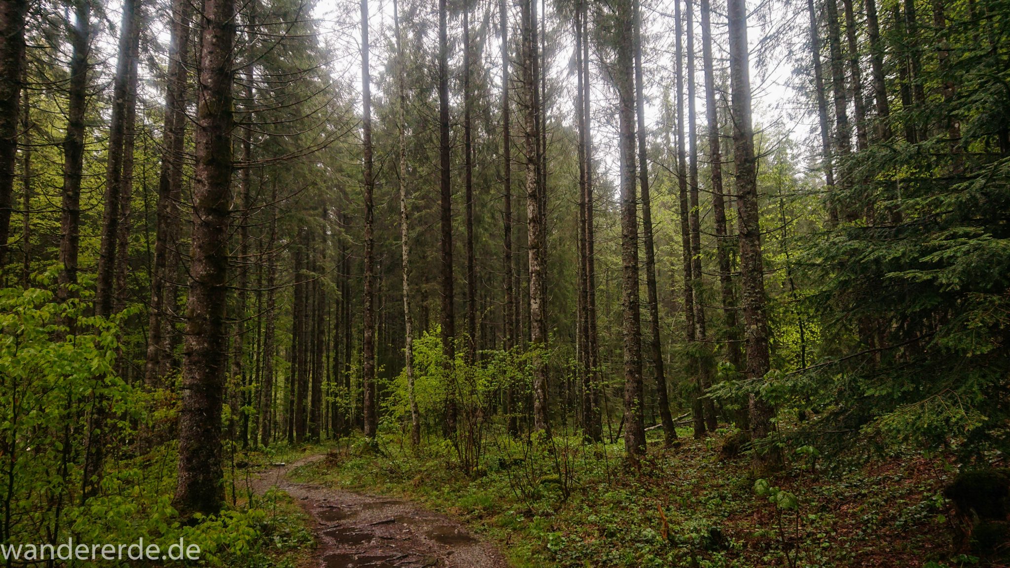 Wanderung Tobelweg ab Gunzesried im Allgäu, Ostertal Tobelweg ab Wanderparkplatz Gunzesrieder Säge wandern, abwechslungsreicher schmaler Pfad zum Ostertal, umgeben von Felsen und schönem, dichtem Mischwald