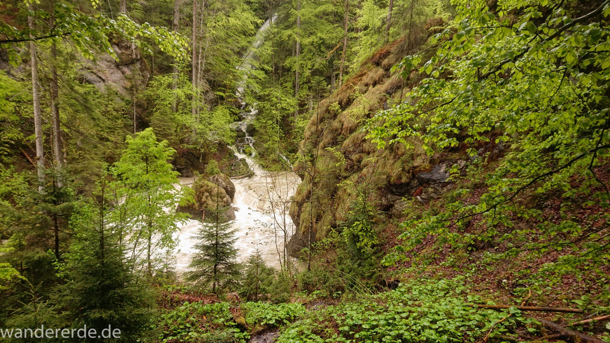 Wanderung Tobelweg ab Gunzesried im Allgäu, Ostertal Tobelweg ab Wanderparkplatz Gunzesrieder Säge wandern, abwechslungsreicher schmaler Pfad zum Ostertal, reißender Fluss nach starken Regenfällen, Fluss tritt beinahe über das Ufer, umgeben von Felsen und schönem, dichtem Mischwald