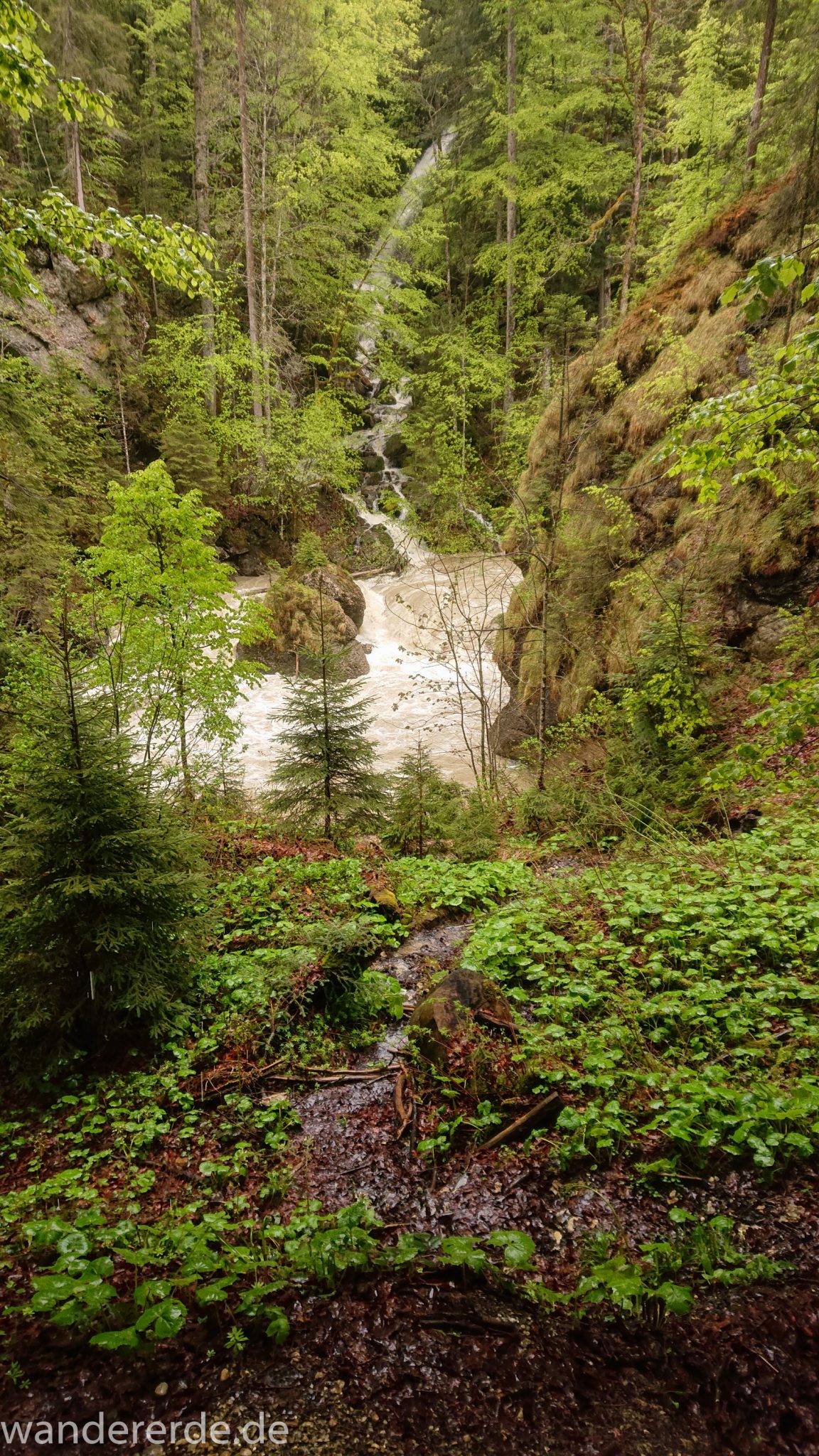 Wanderung Tobelweg ab Gunzesried im Allgäu, Ostertal Tobelweg ab Wanderparkplatz Gunzesrieder Säge wandern, abwechslungsreicher schmaler Pfad zum Ostertal, reißender Fluss nach starken Regenfällen, Fluss tritt beinahe über das Ufer, umgeben von Felsen und schönem, dichtem Mischwald