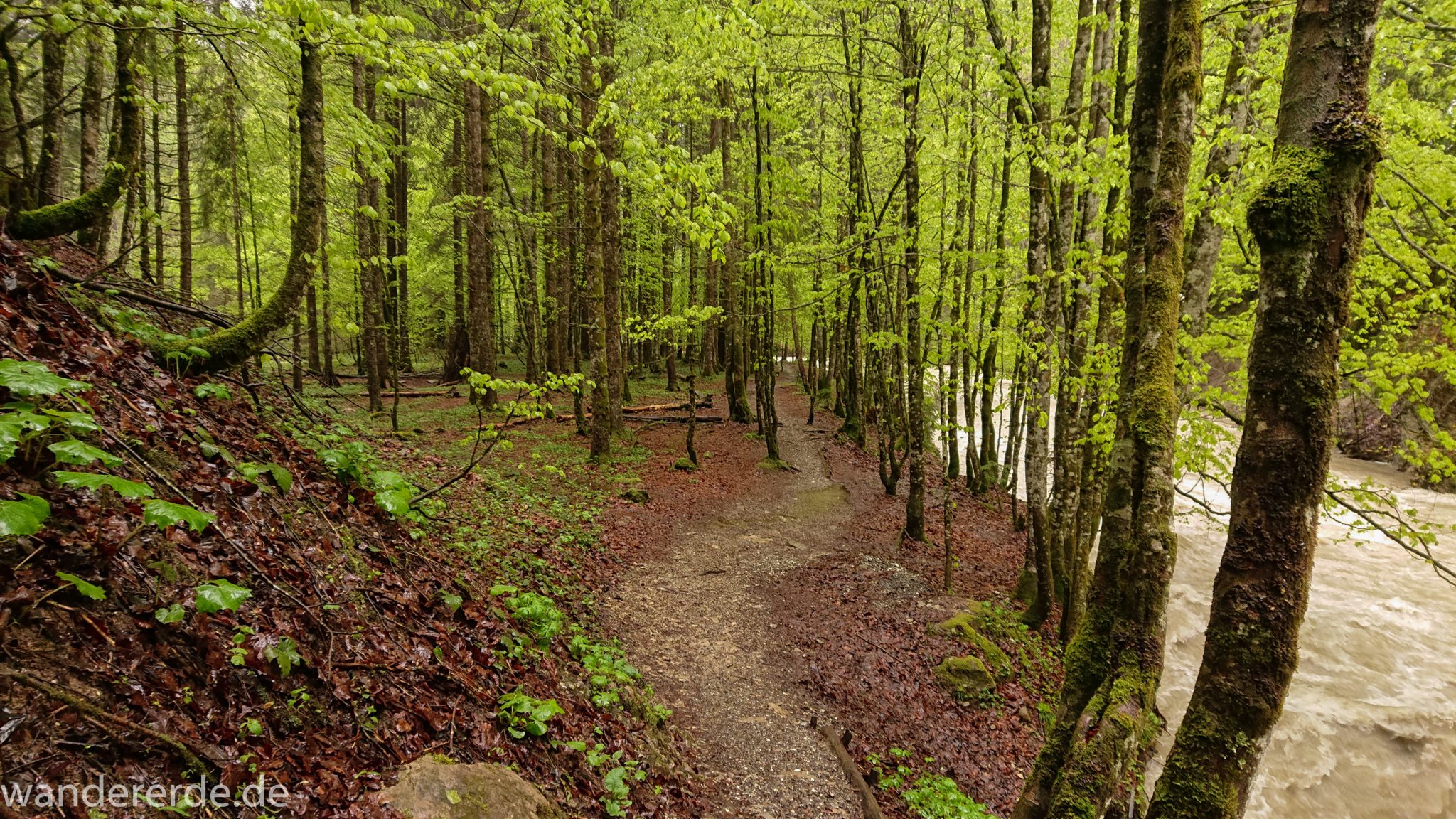 Wanderung Tobelweg ab Gunzesried im Allgäu, Ostertal Tobelweg ab Wanderparkplatz Gunzesrieder Säge wandern, abwechslungsreicher schmaler Pfad zum Ostertal, reißender Fluss nach starken Regenfällen, Fluss tritt beinahe über das Ufer, umgeben von Felsen und schönem, dichtem Mischwald
